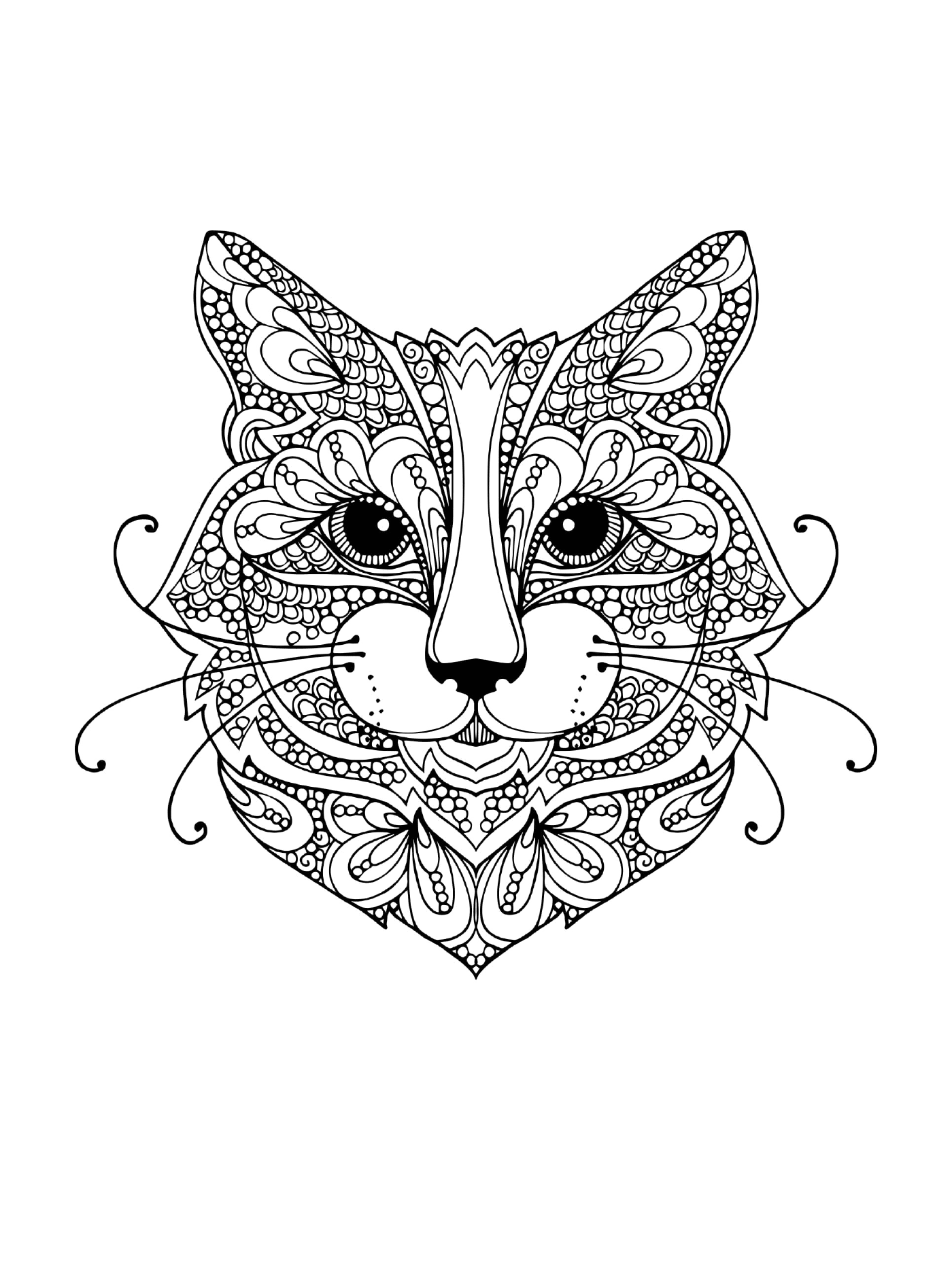  Cat with a floral pattern on her face 
