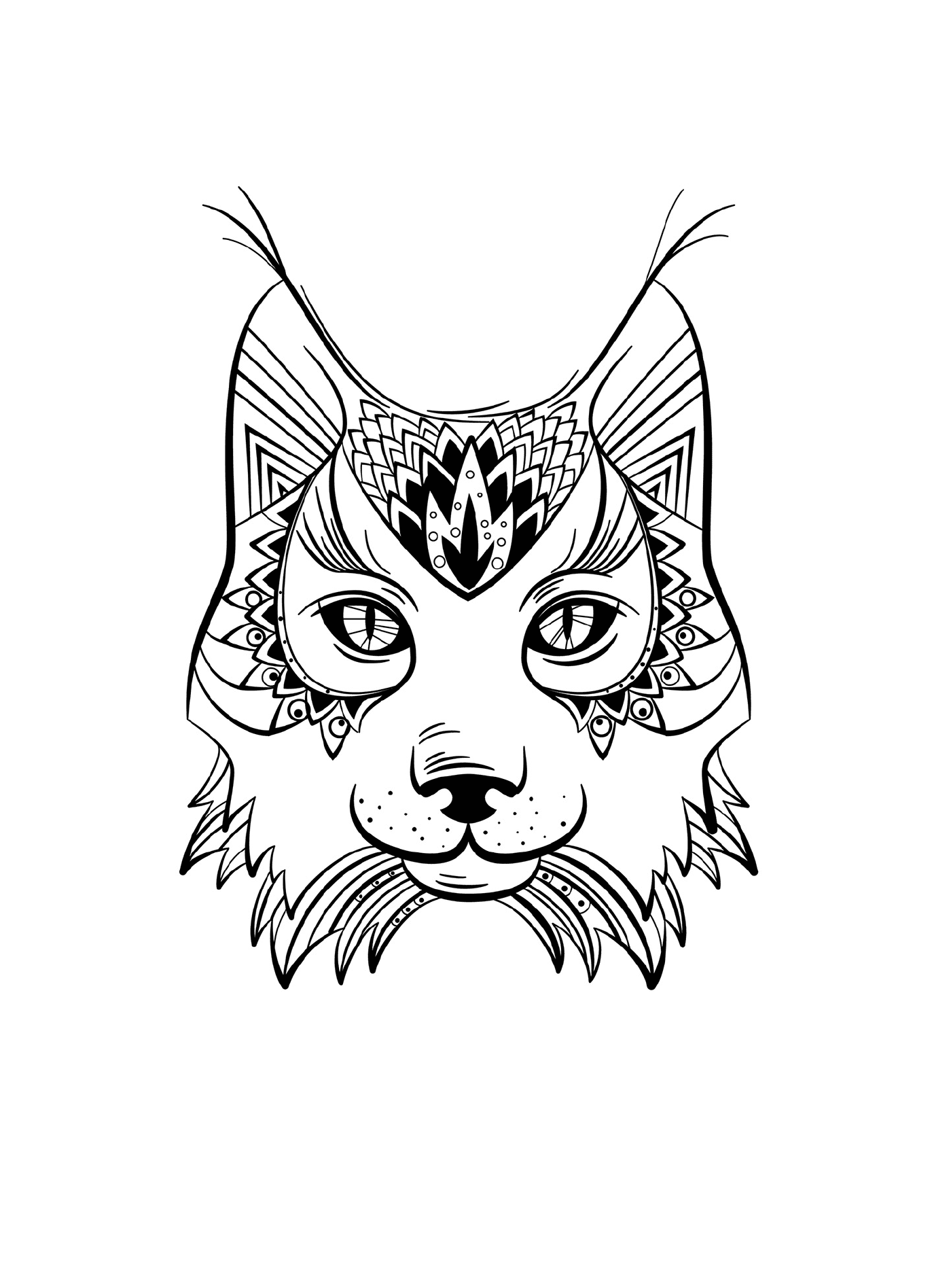  Lynx mit einem Katzenkopf 