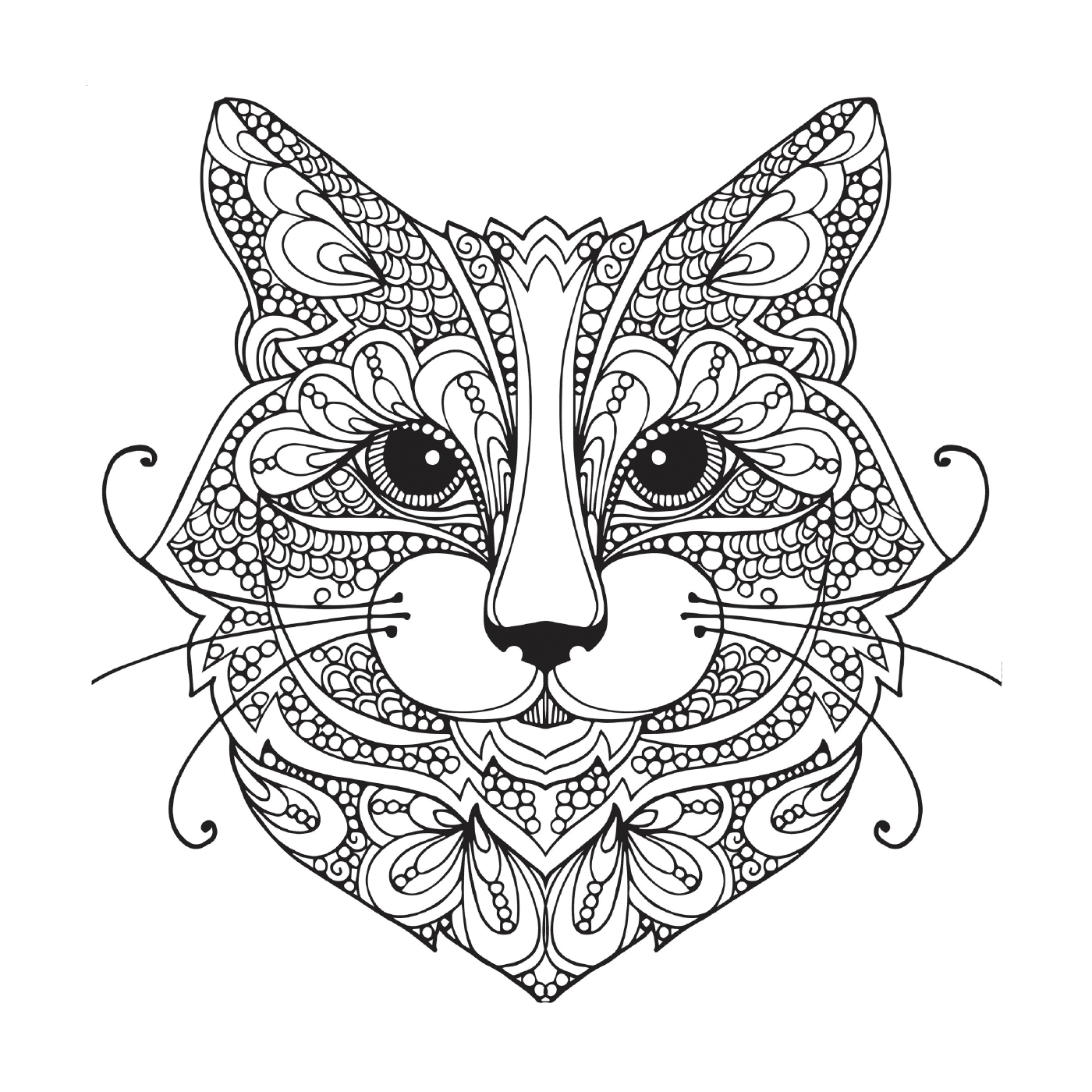  Cat with ornamental patterns on her face 