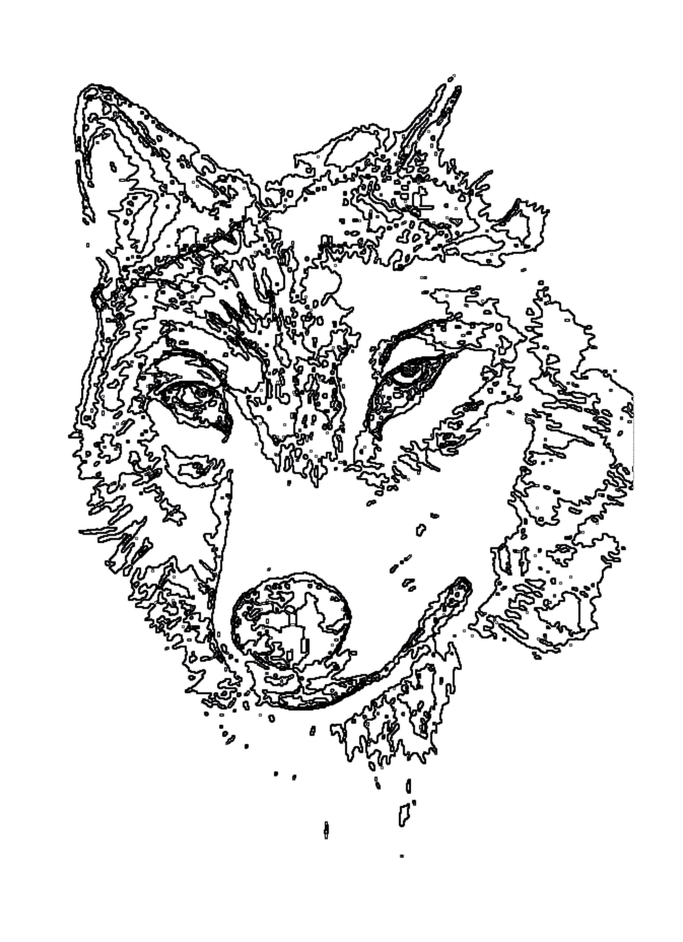  Grey wolf with a face made of leaves 