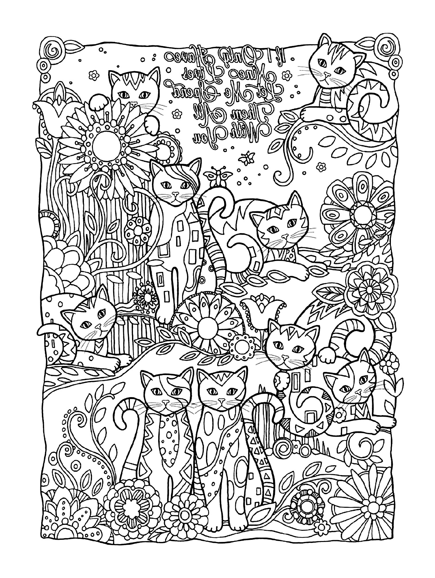  Lots of cats with adult patterns 