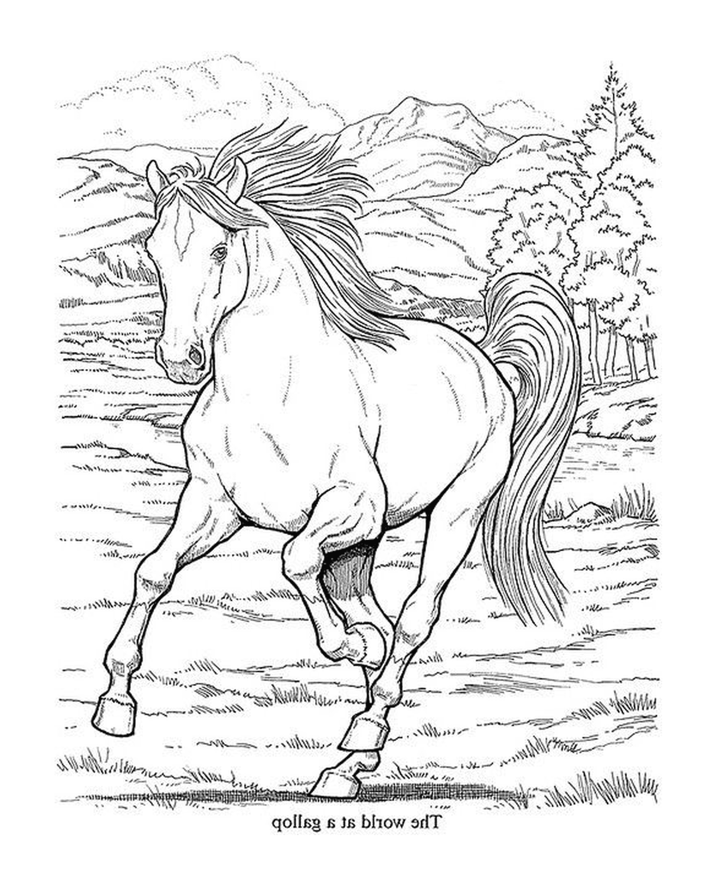 Horse running in a field 