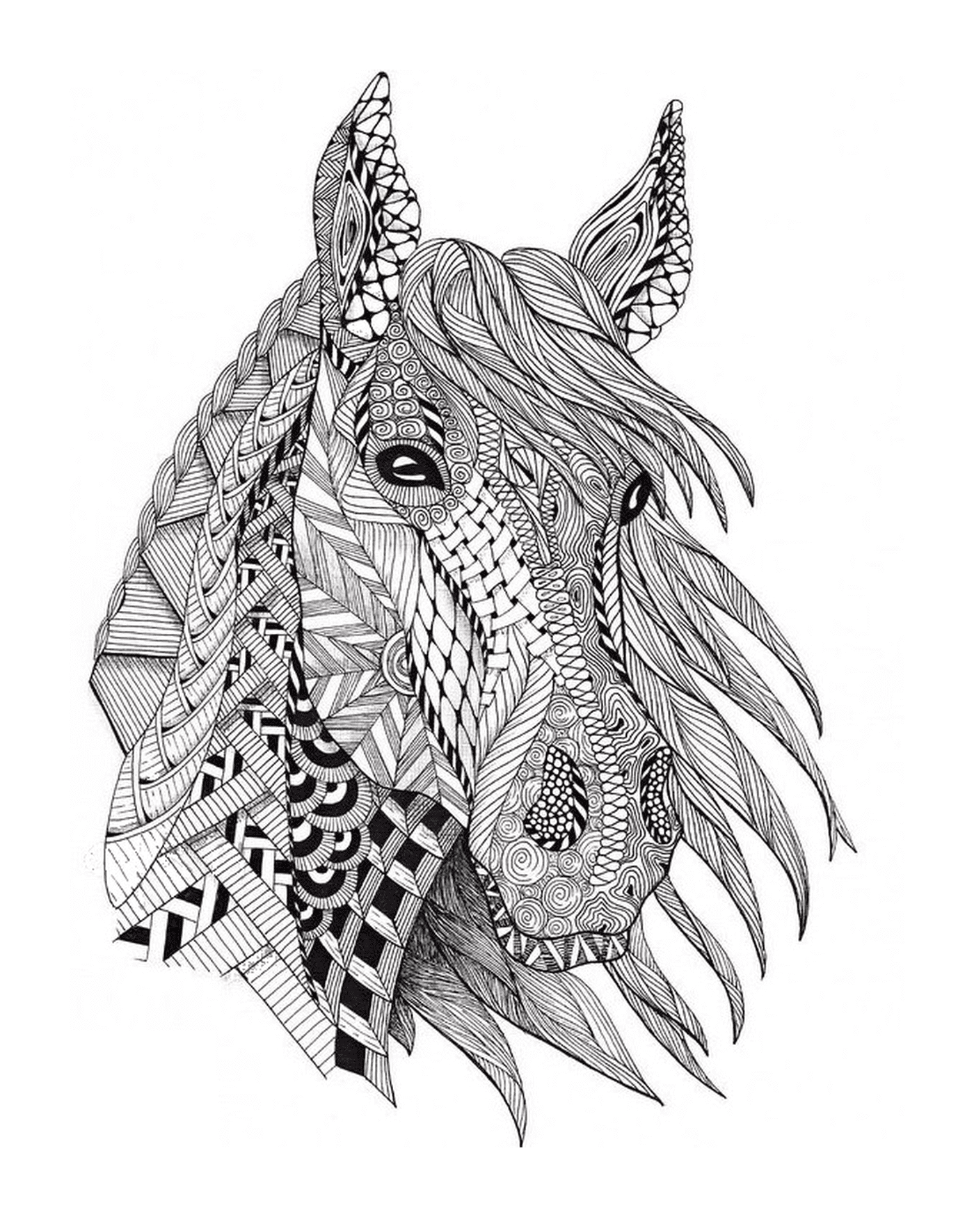  La cabeza de un caballo con varios patrones 