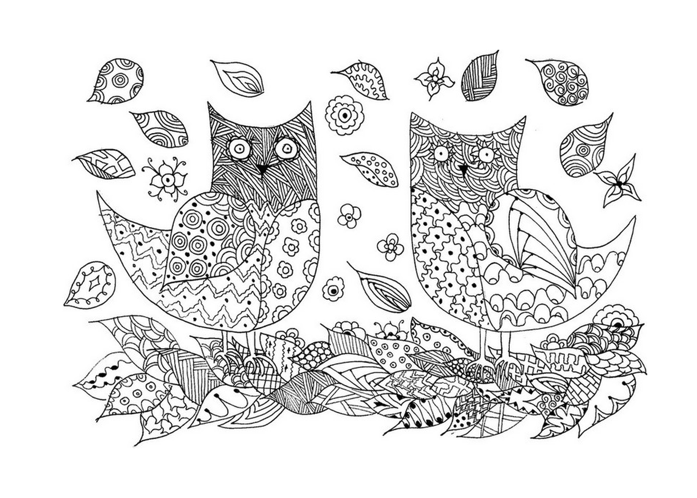  Two owls 