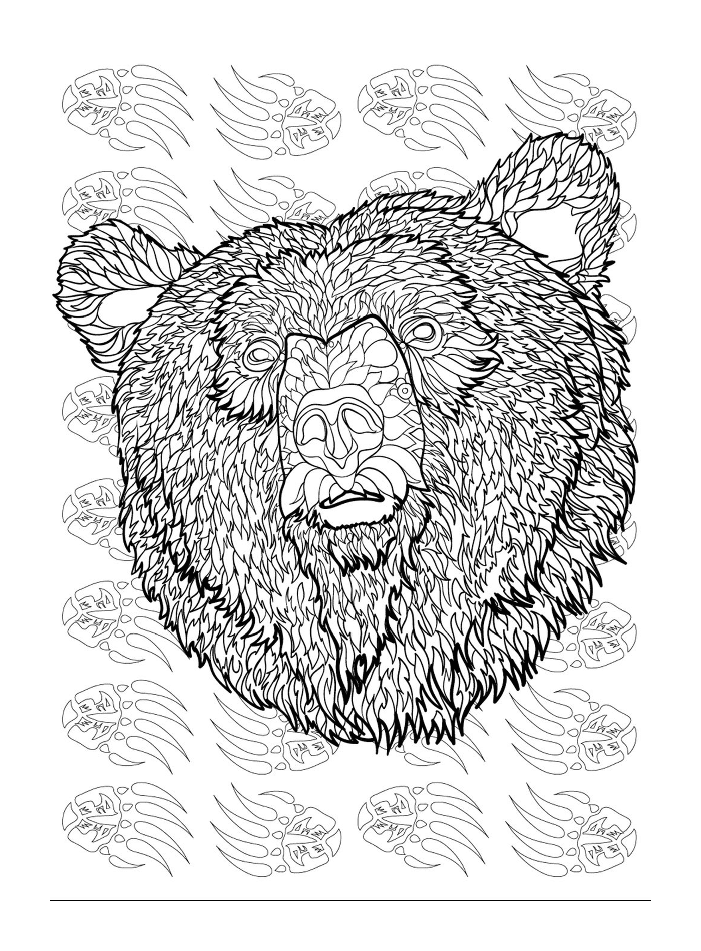  The head of a bear 