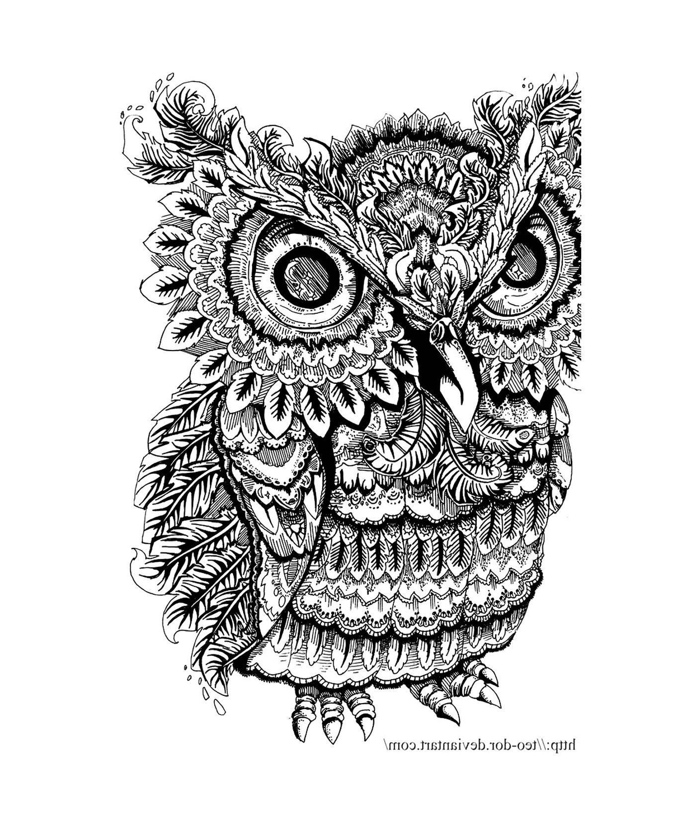  An owl is drawn with big eyes 