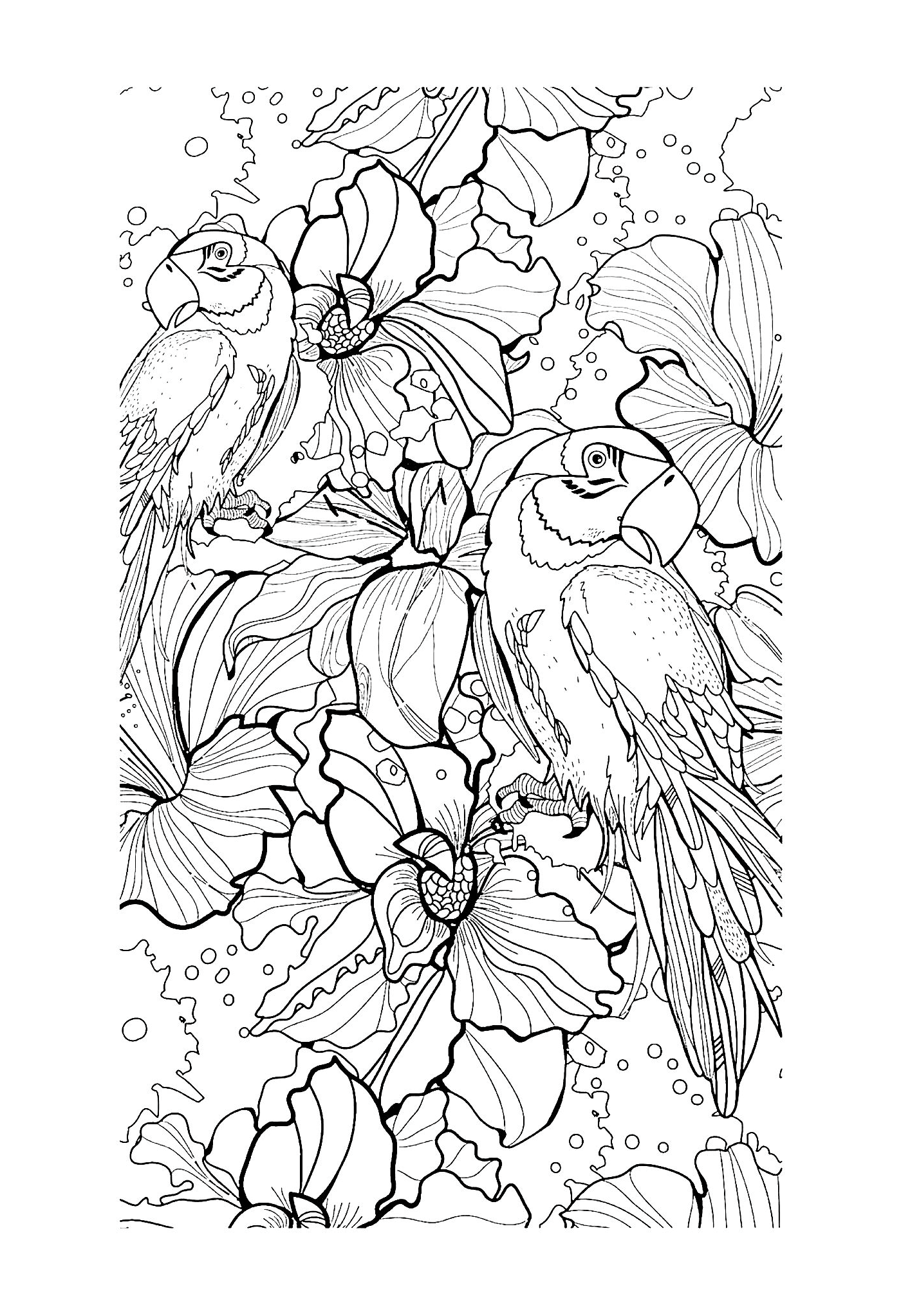  Птицы и цветы 