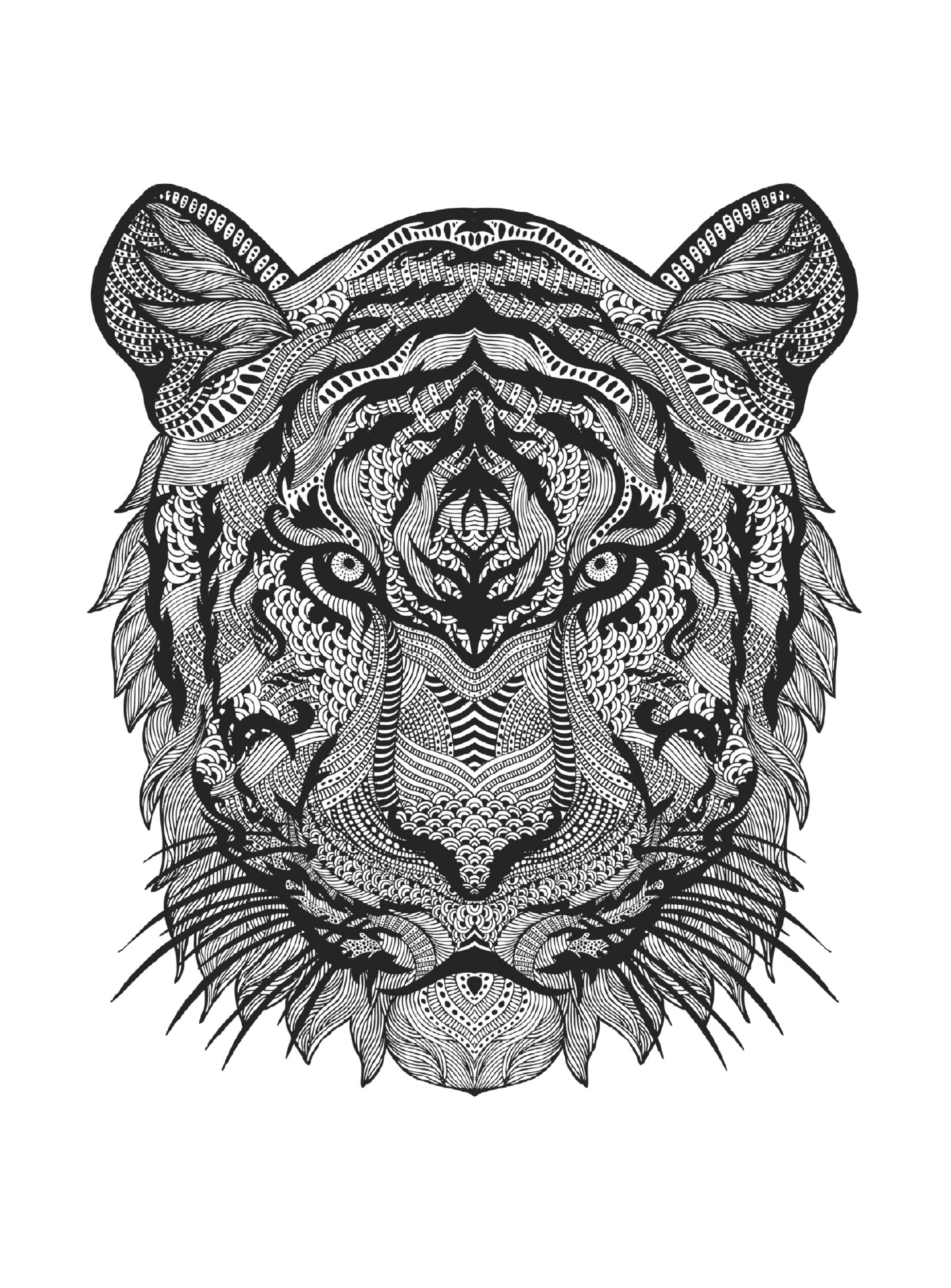 The head of a tiger 