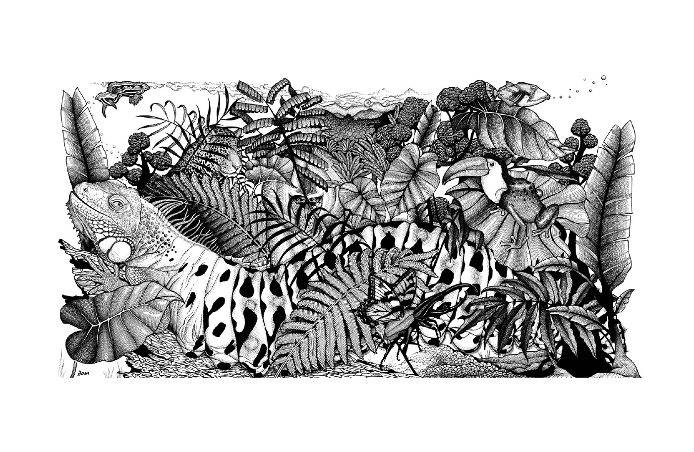  A jungle with several plants 