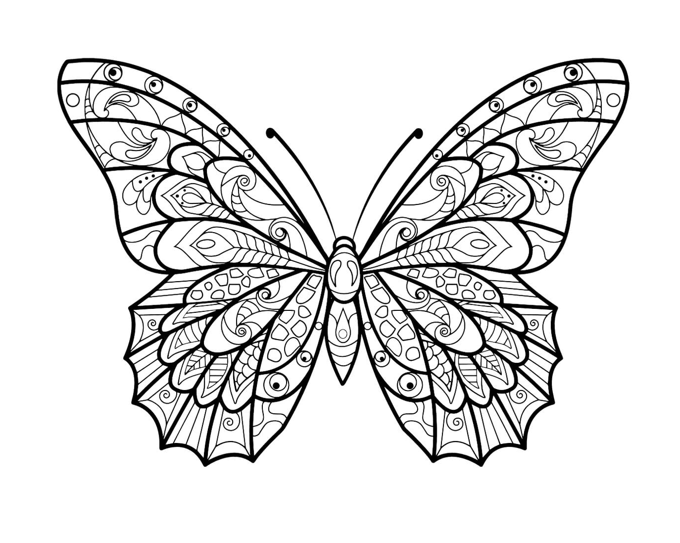  Ein Schmetterling 