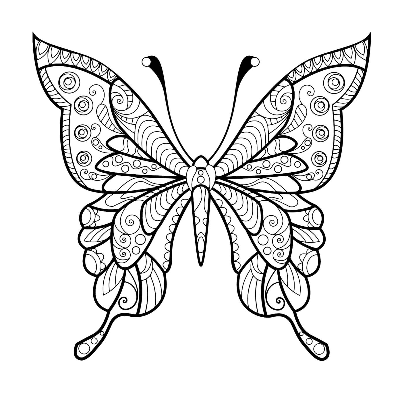  A butterfly 