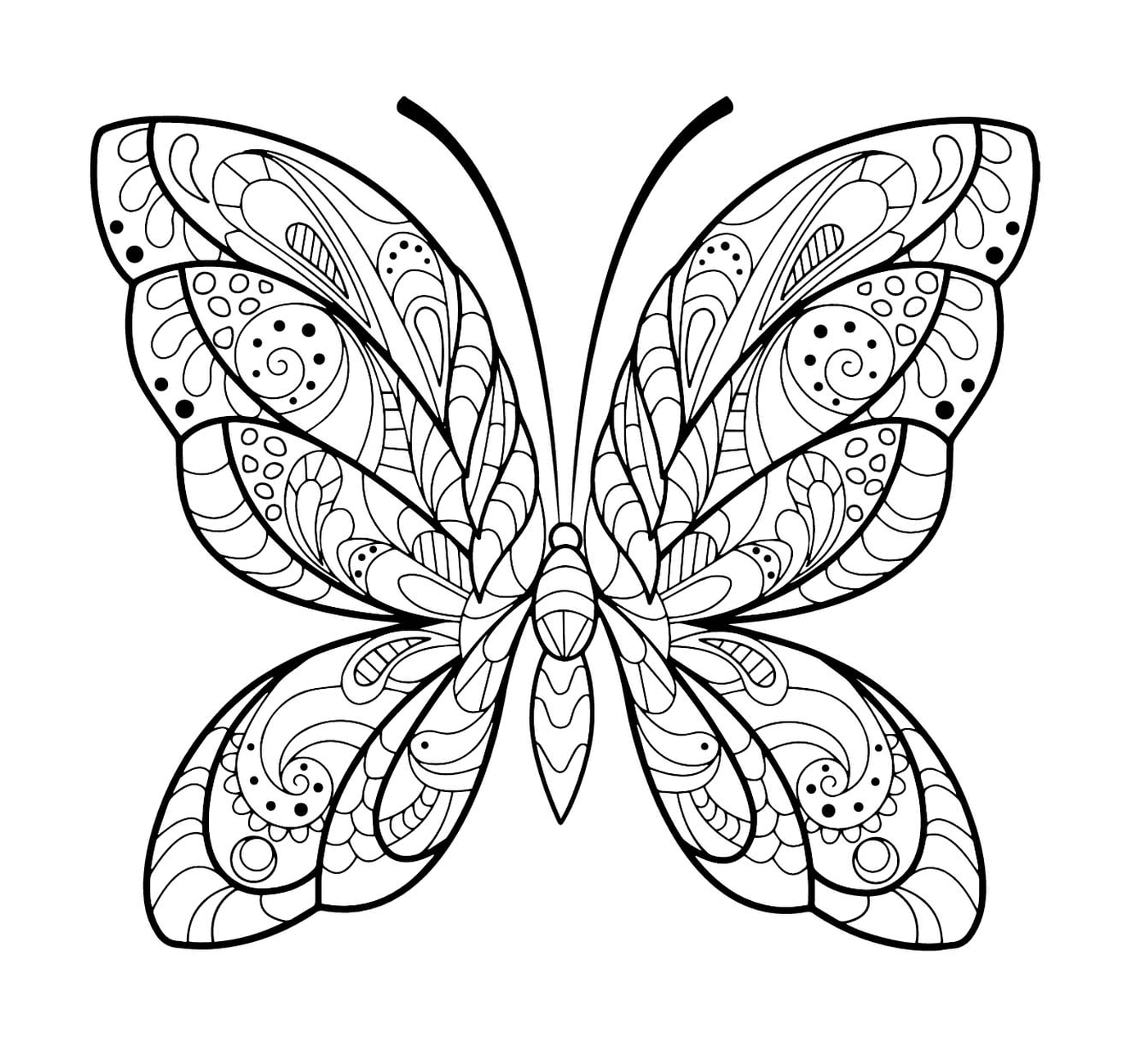  Ein Schmetterling 