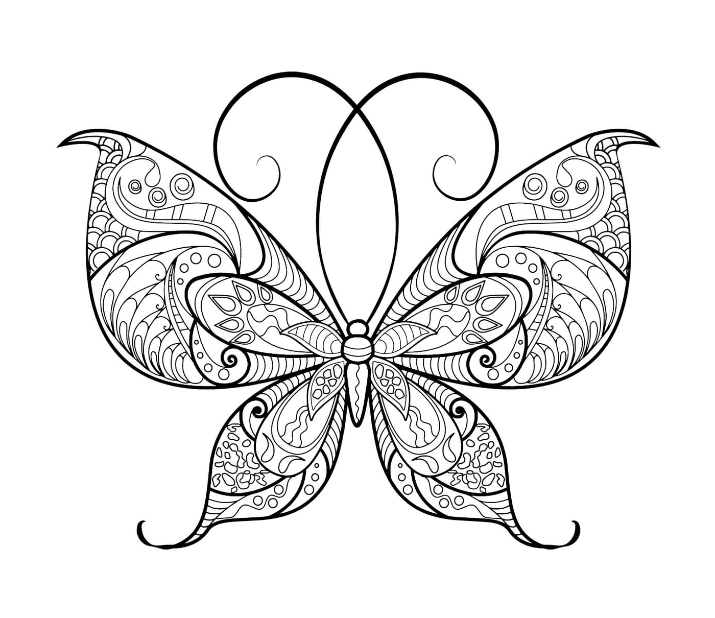  Una farfalla 