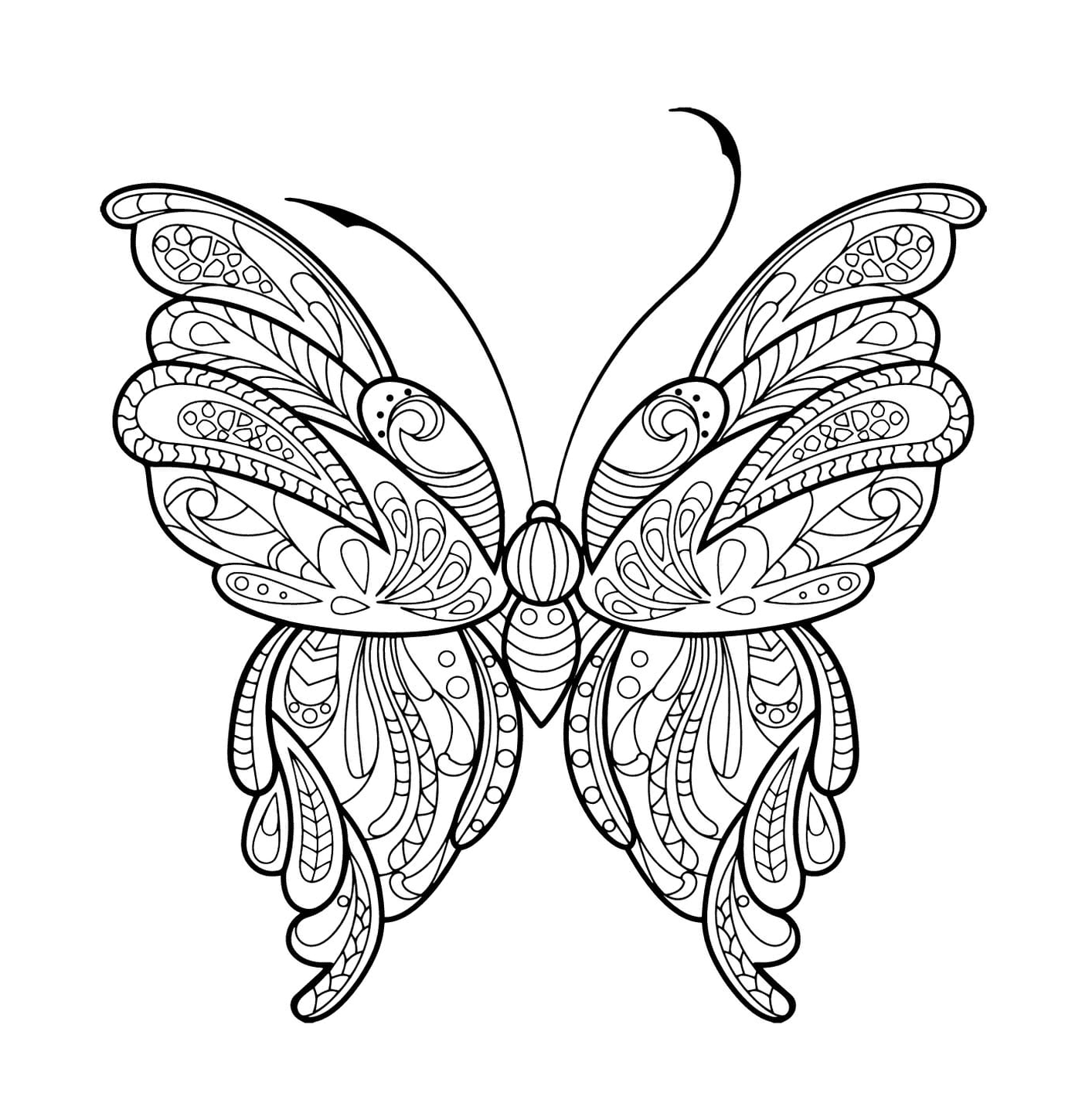  Una mariposa 