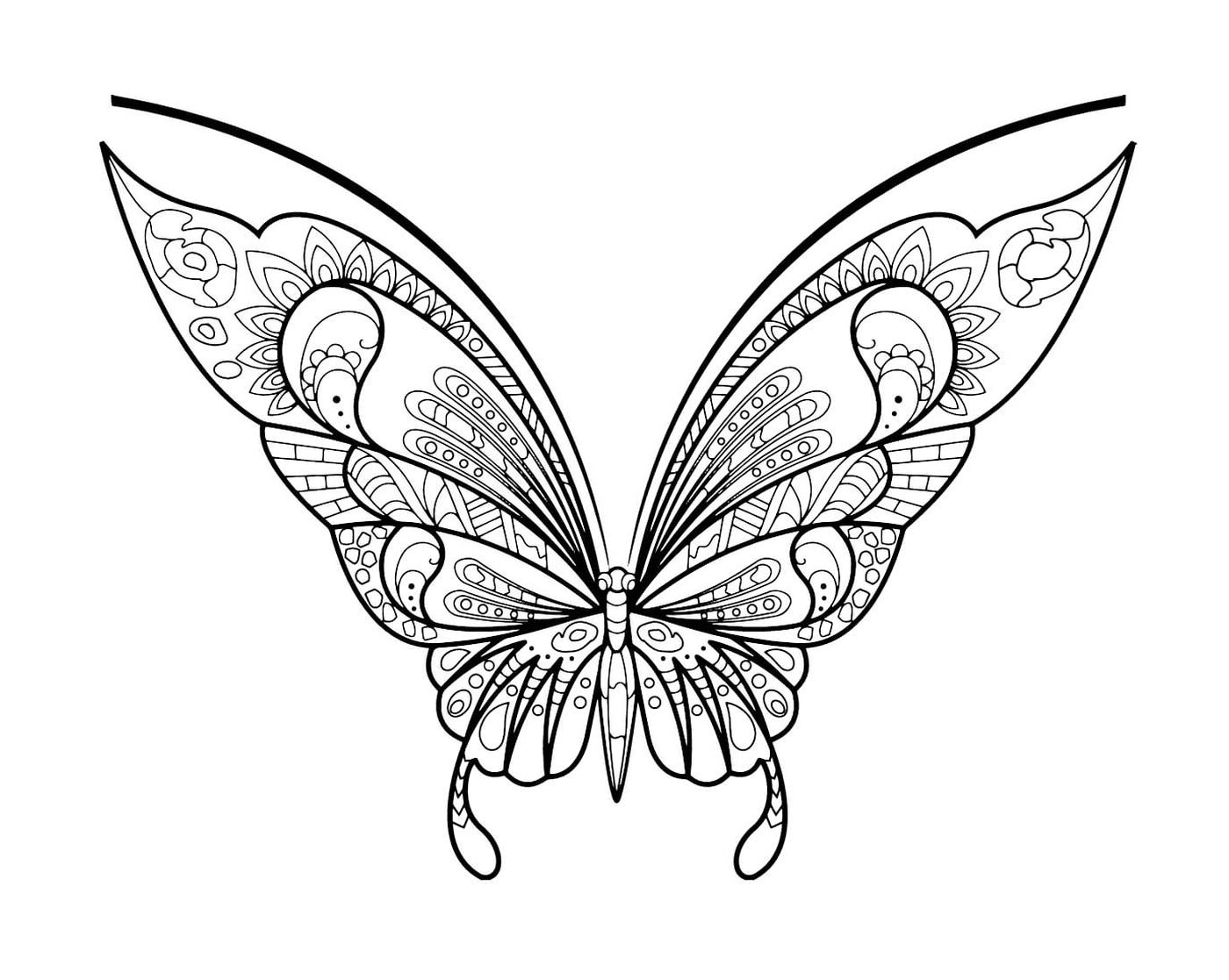  Бабочка 