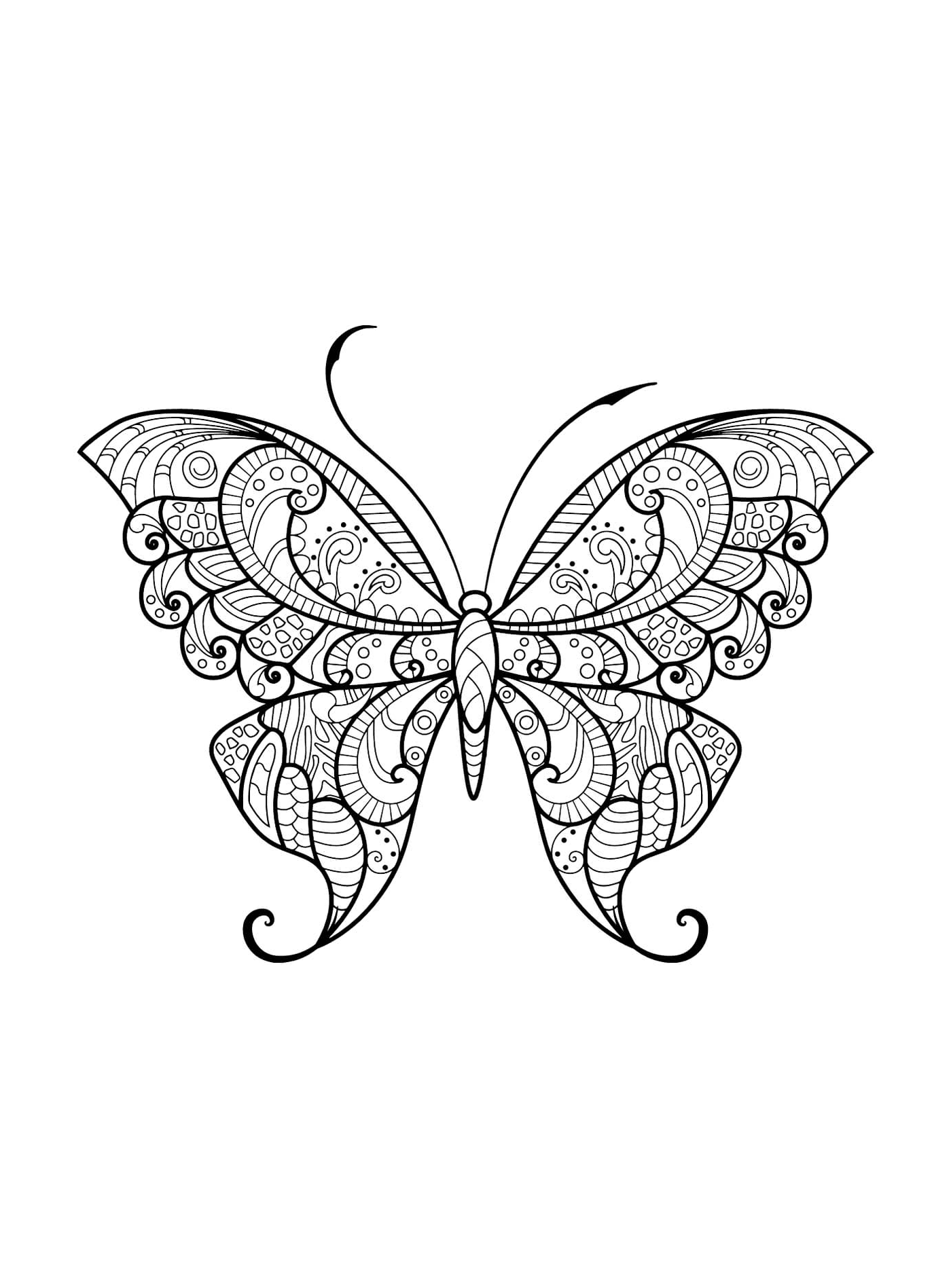  Бабочка 