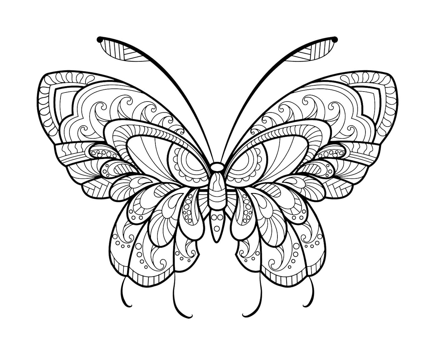  Una farfalla 
