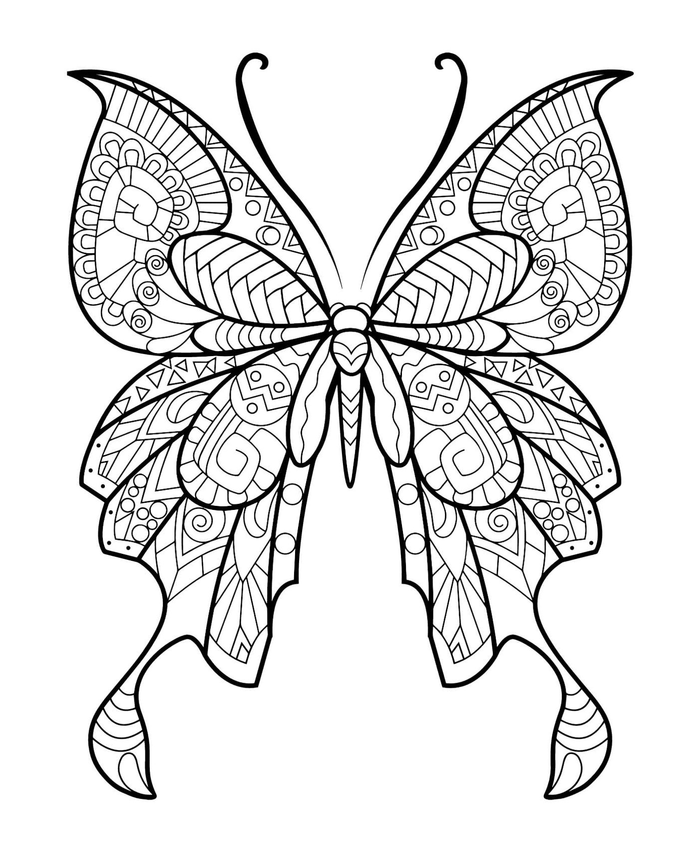  Schöner Schmetterling mit bunten Mustern 