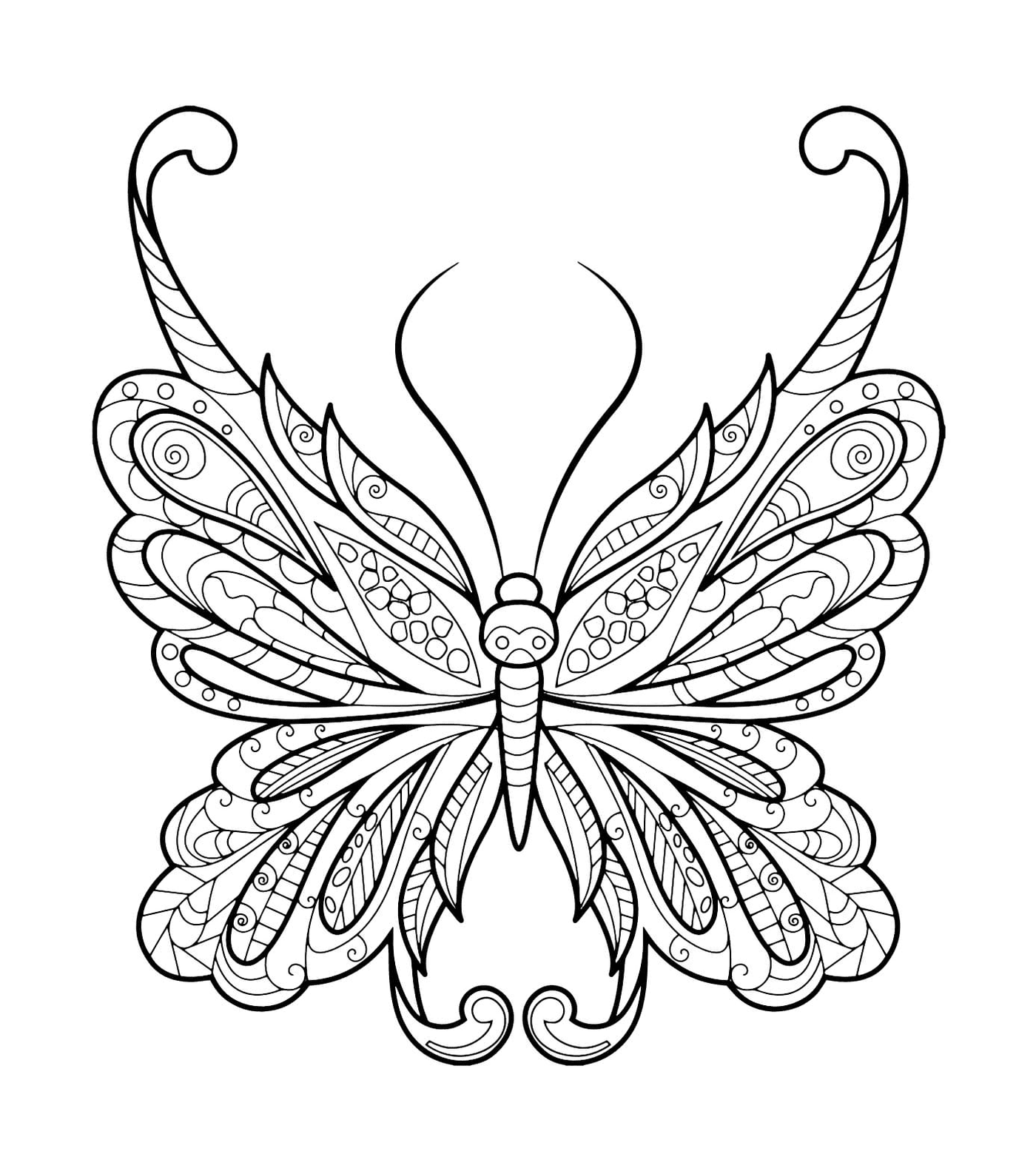 Mariposa zentangle con motivos hermosos 