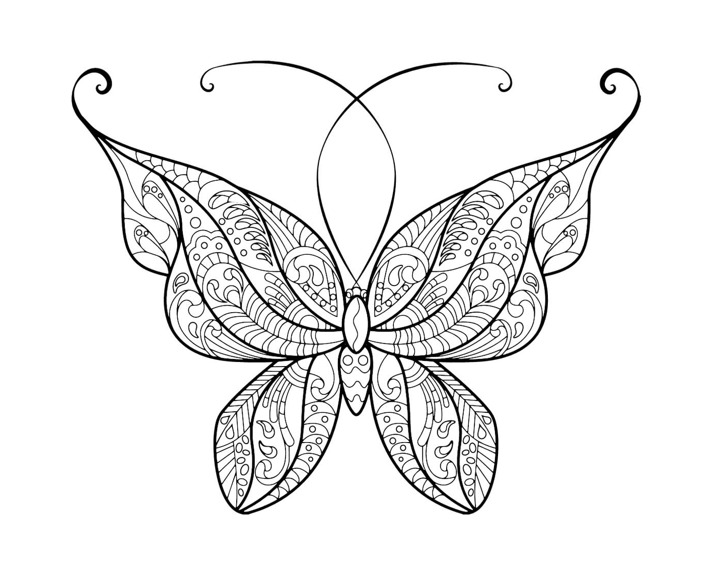  Magnifica farfalla per adulti con motivi eleganti 