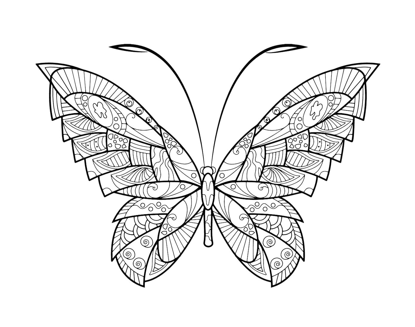  Zentangle Schmetterling mit komplexen Mustern 