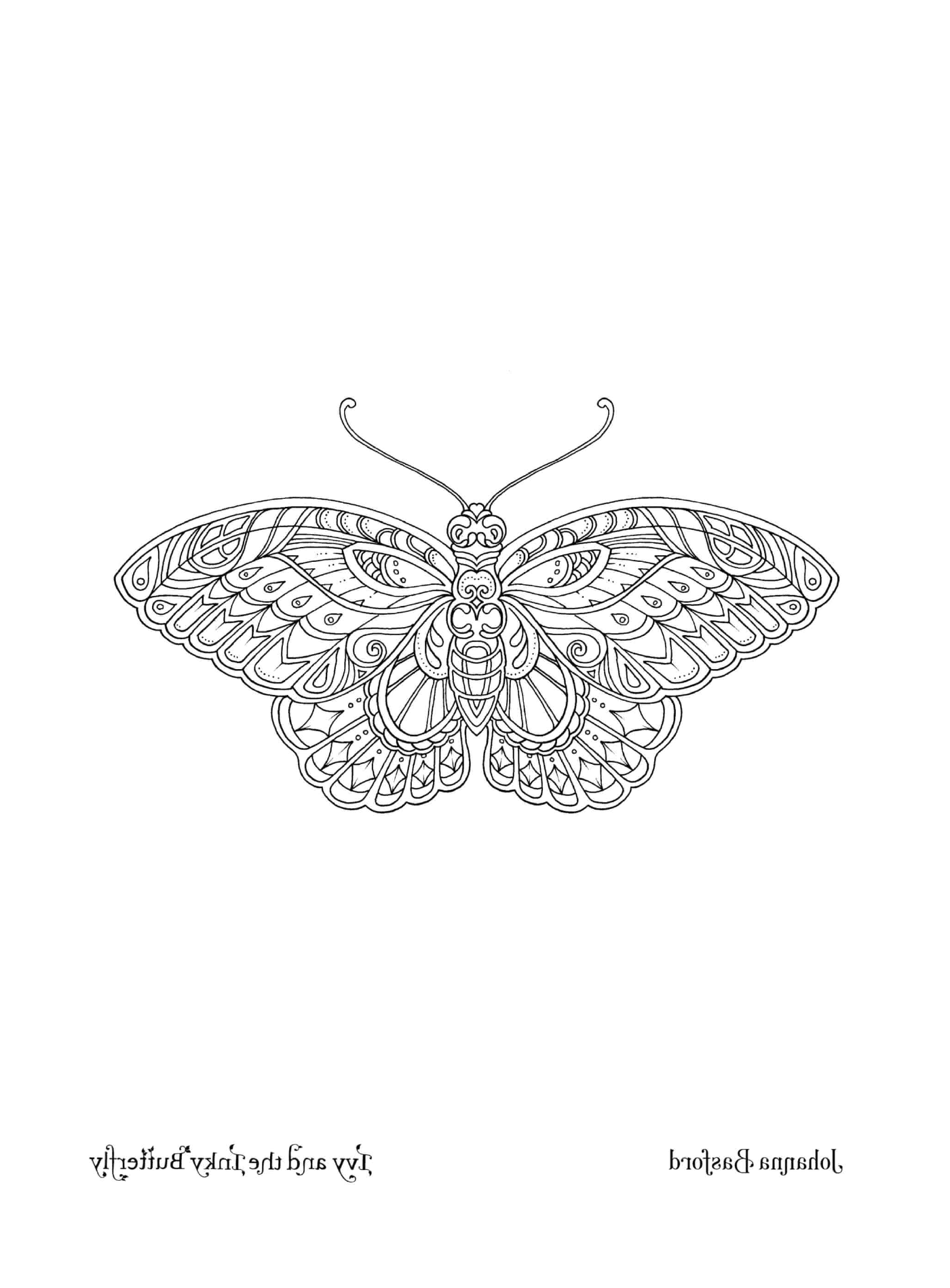  Una maestosa farfalla 