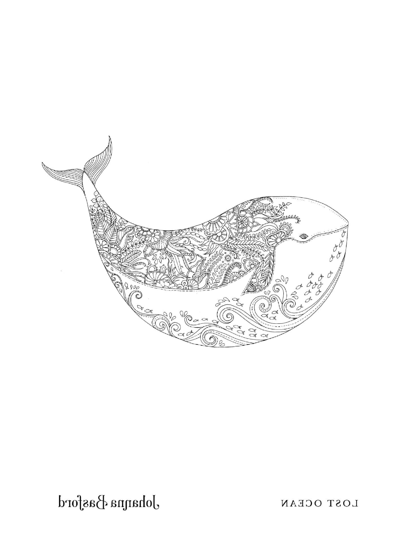  Una balena con un motivo floreale 