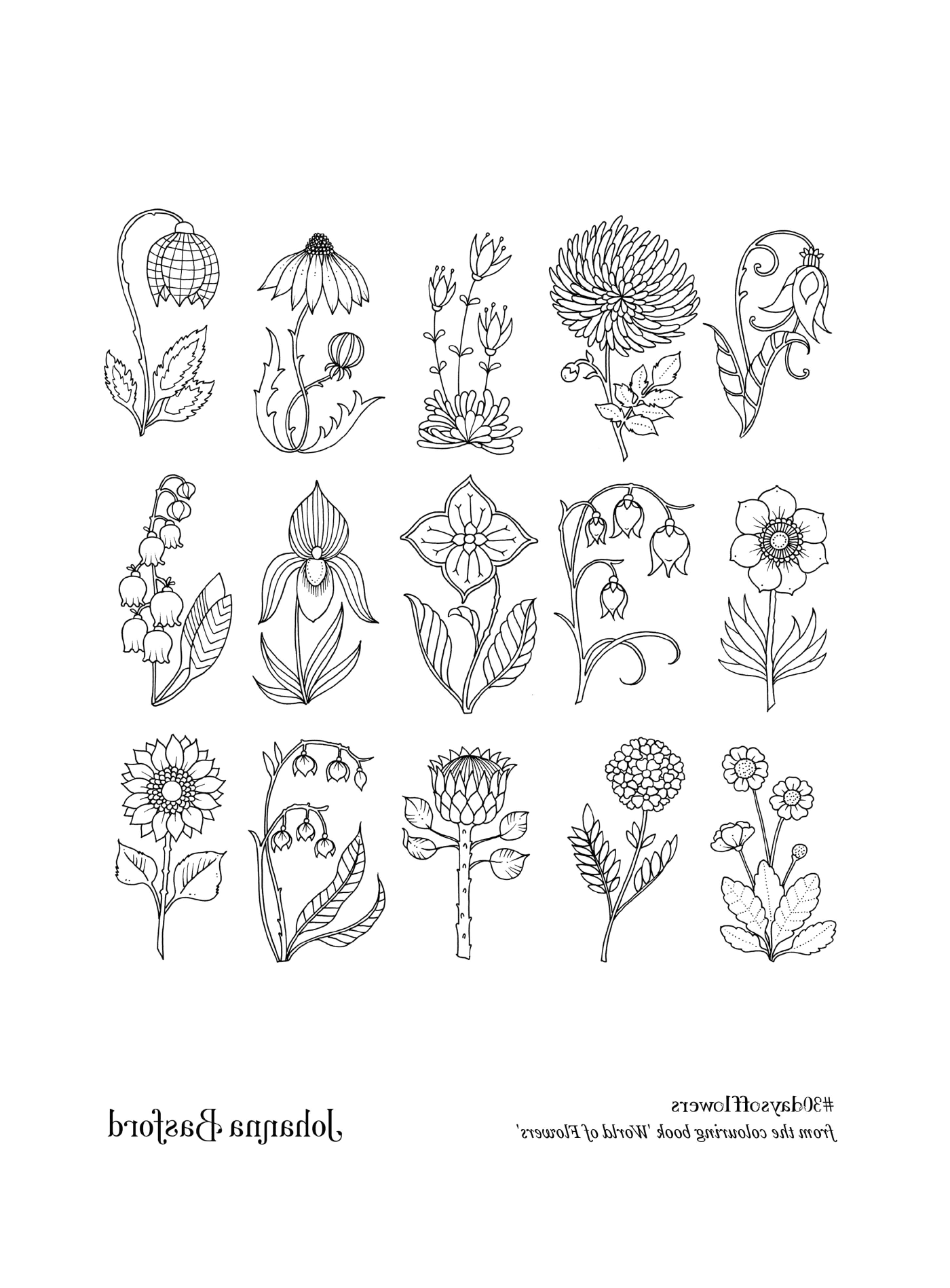  Eine Vielzahl von Blumen 