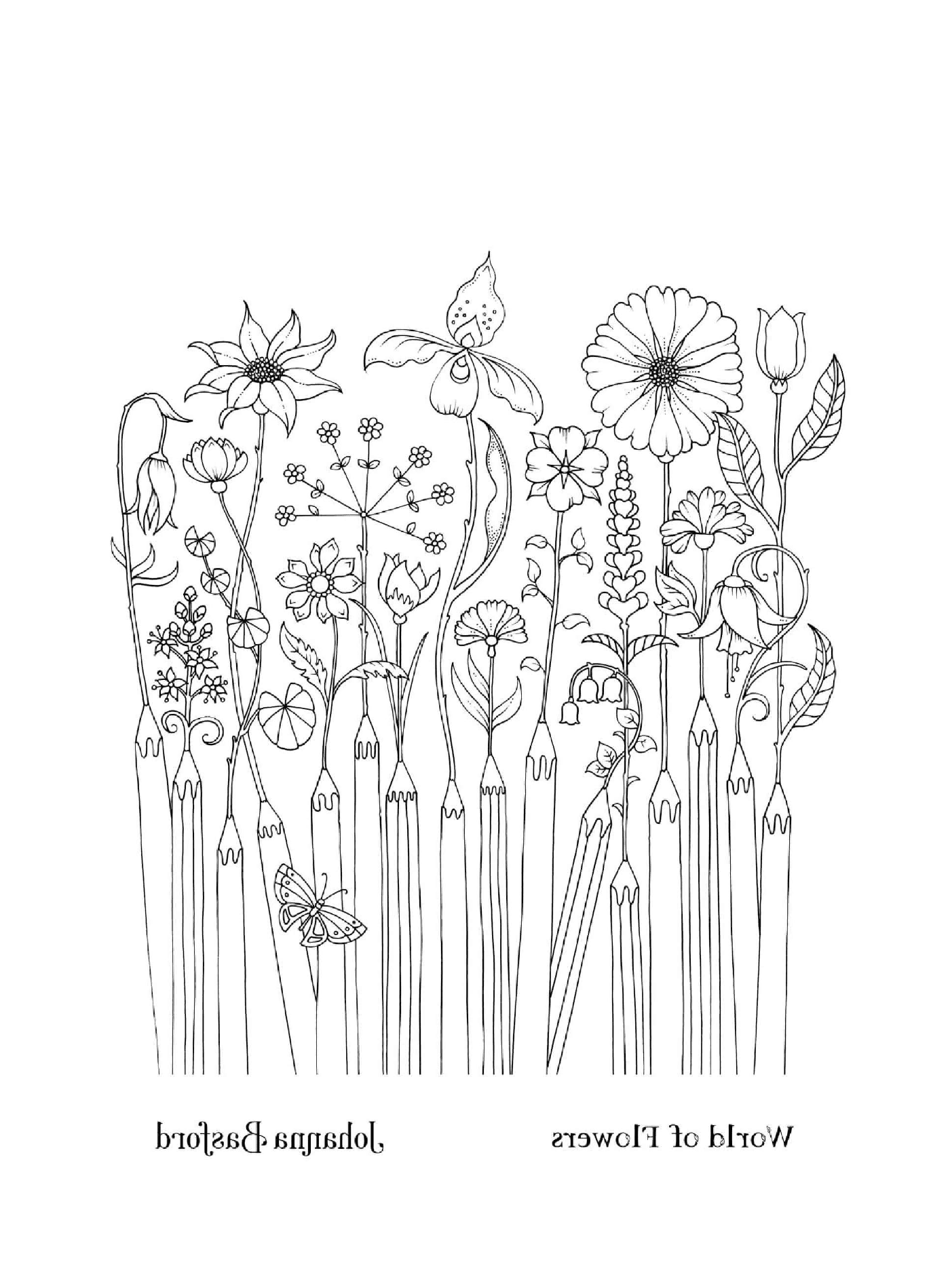  Lots of different flowers on this page 