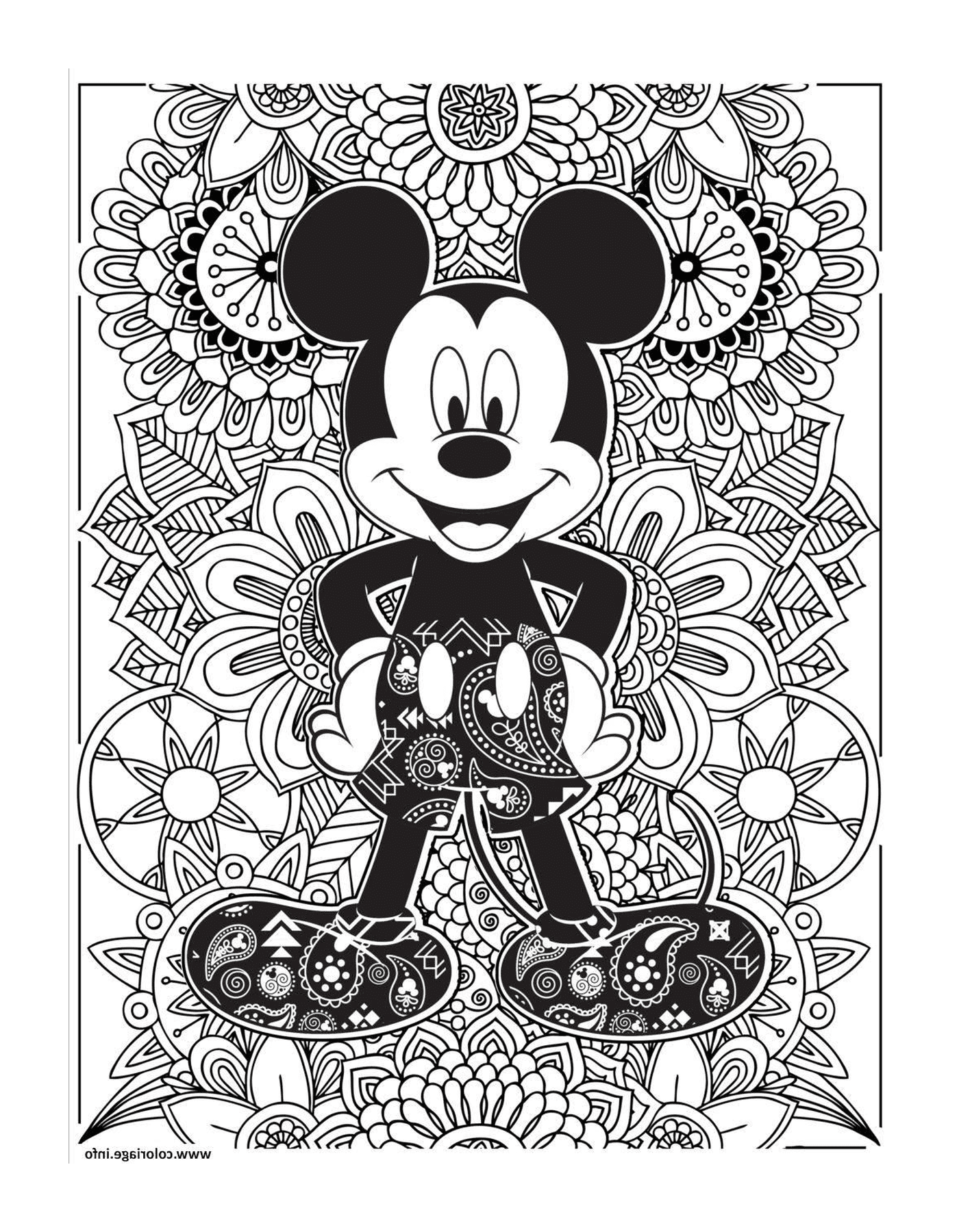  Mickey Mouse, an adult from Disney 