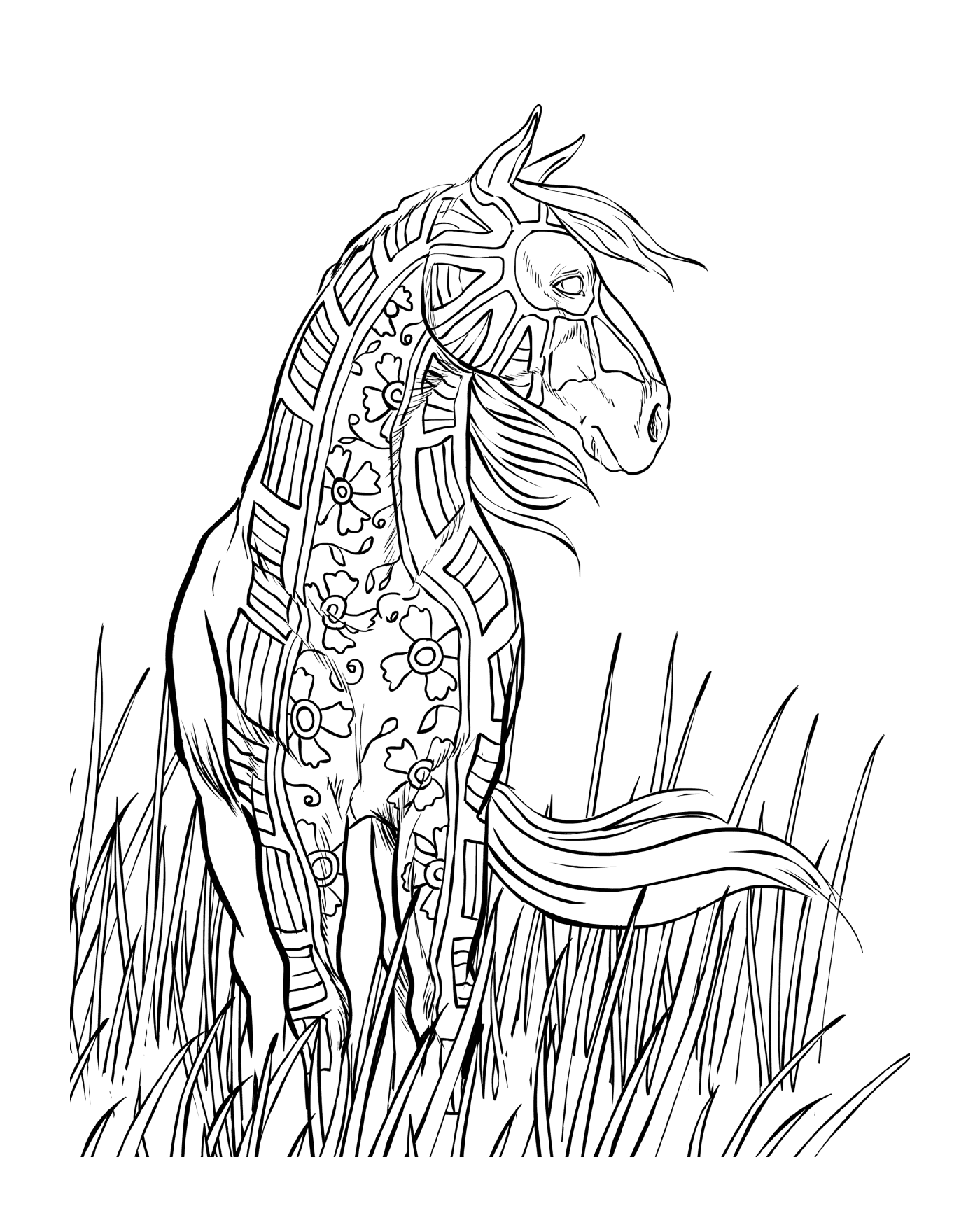  An adult of a horse in a field 