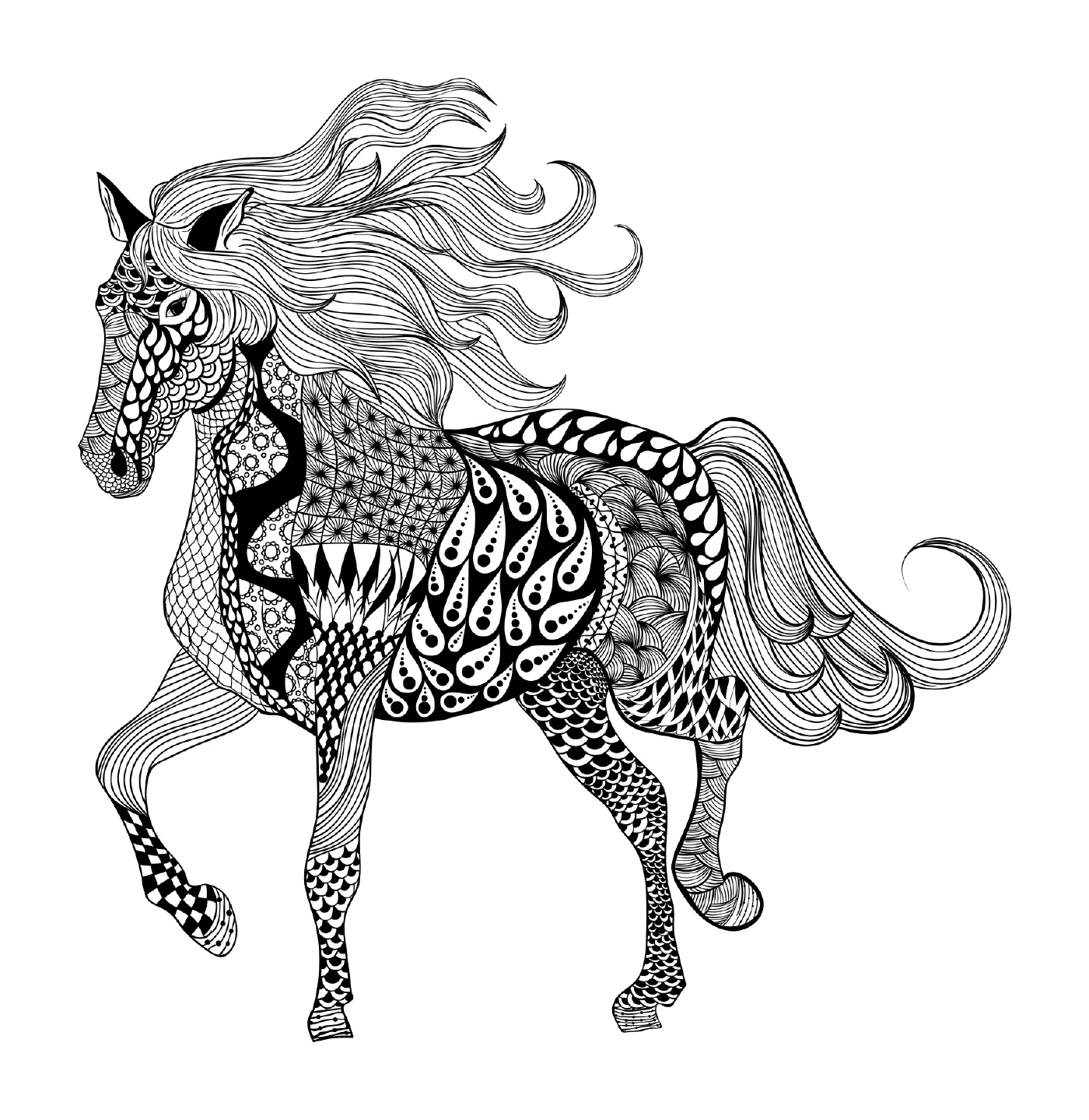  A horse 