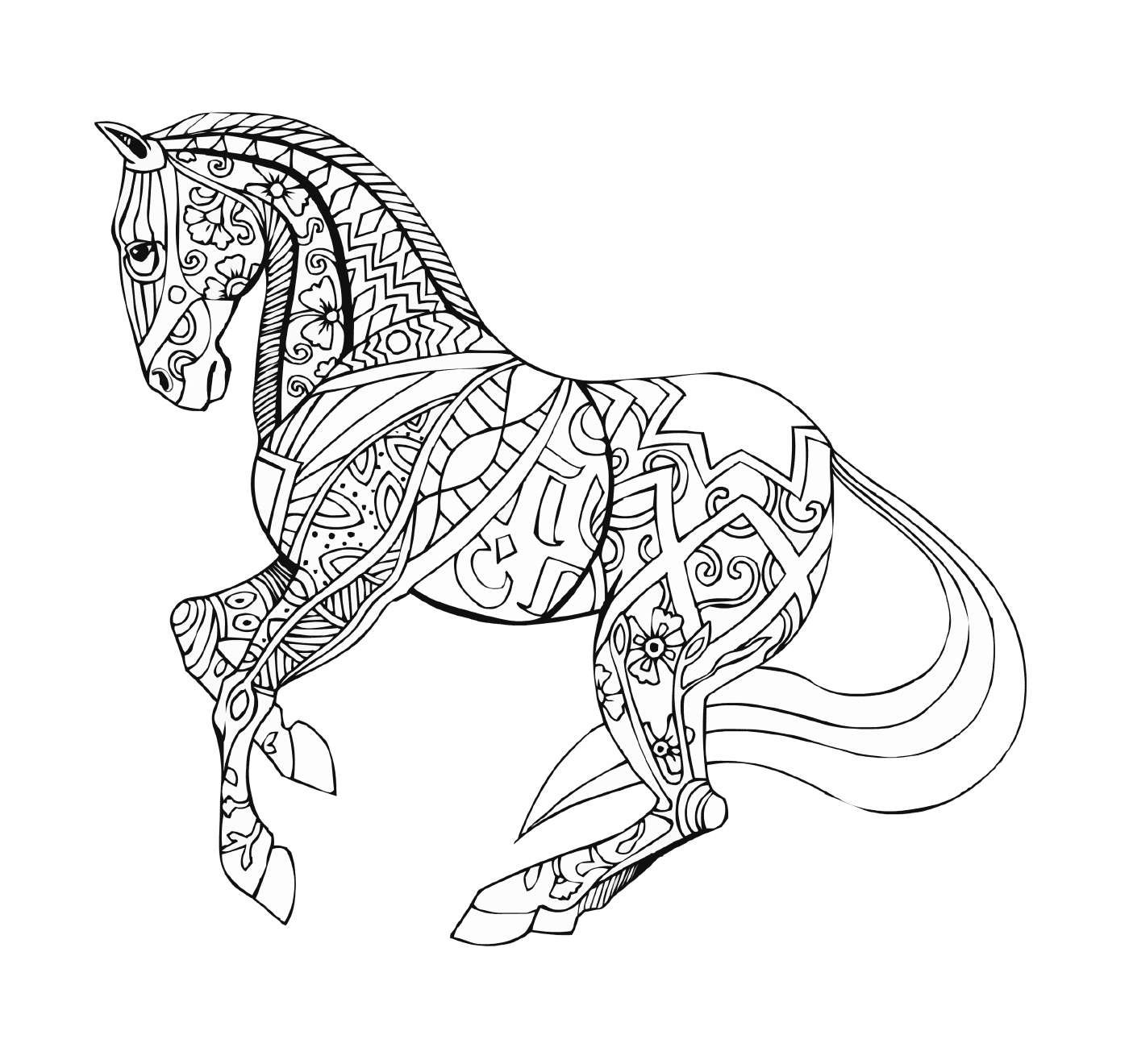  Un cavallo 