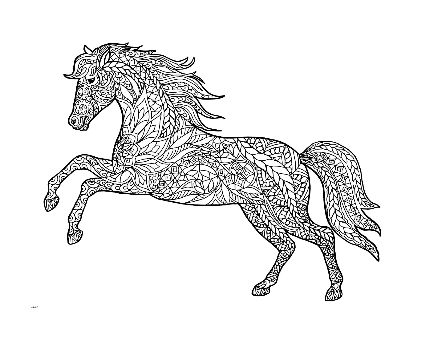 Un adulto di un cavallo galoppante 