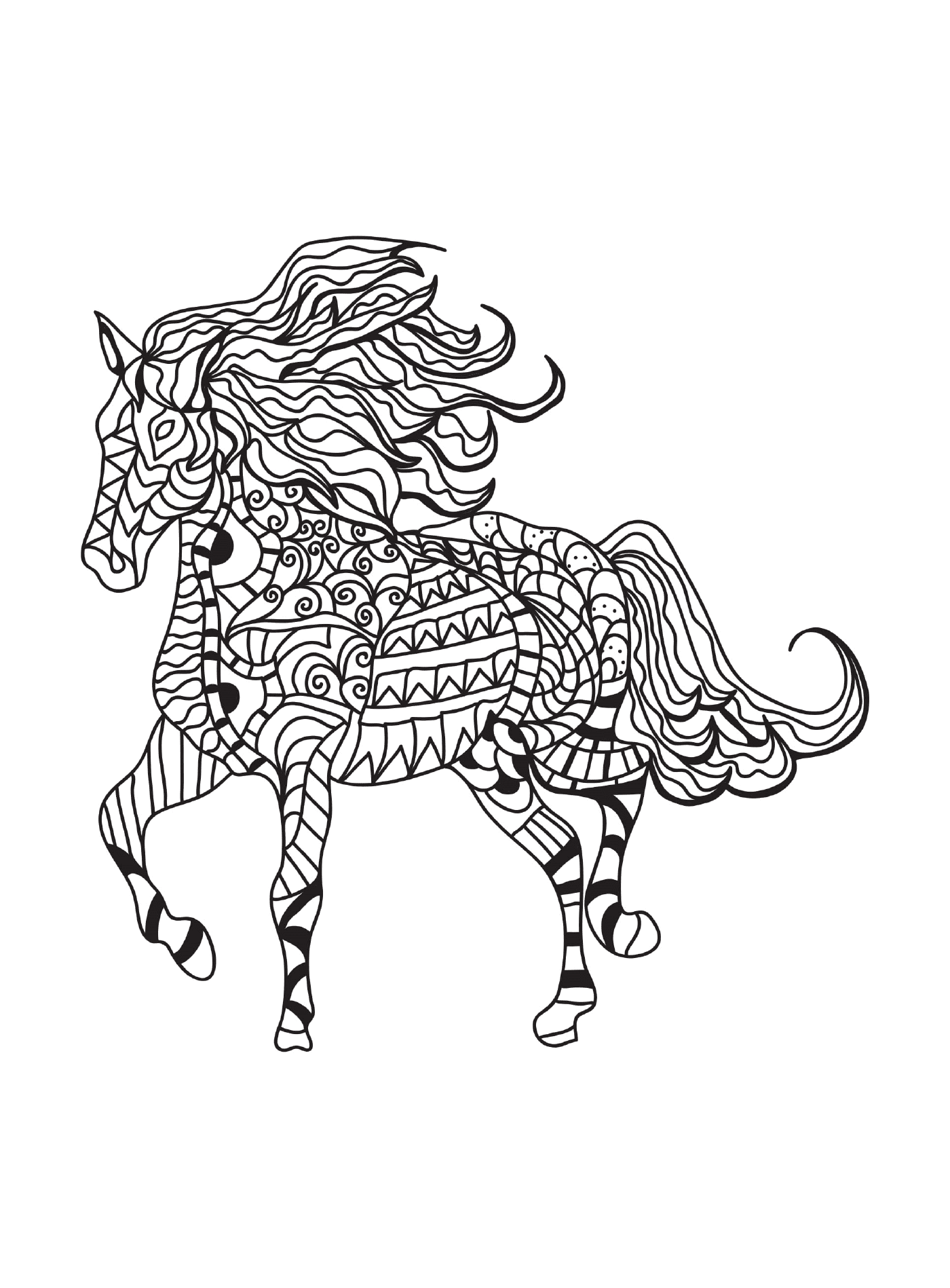  A horse 