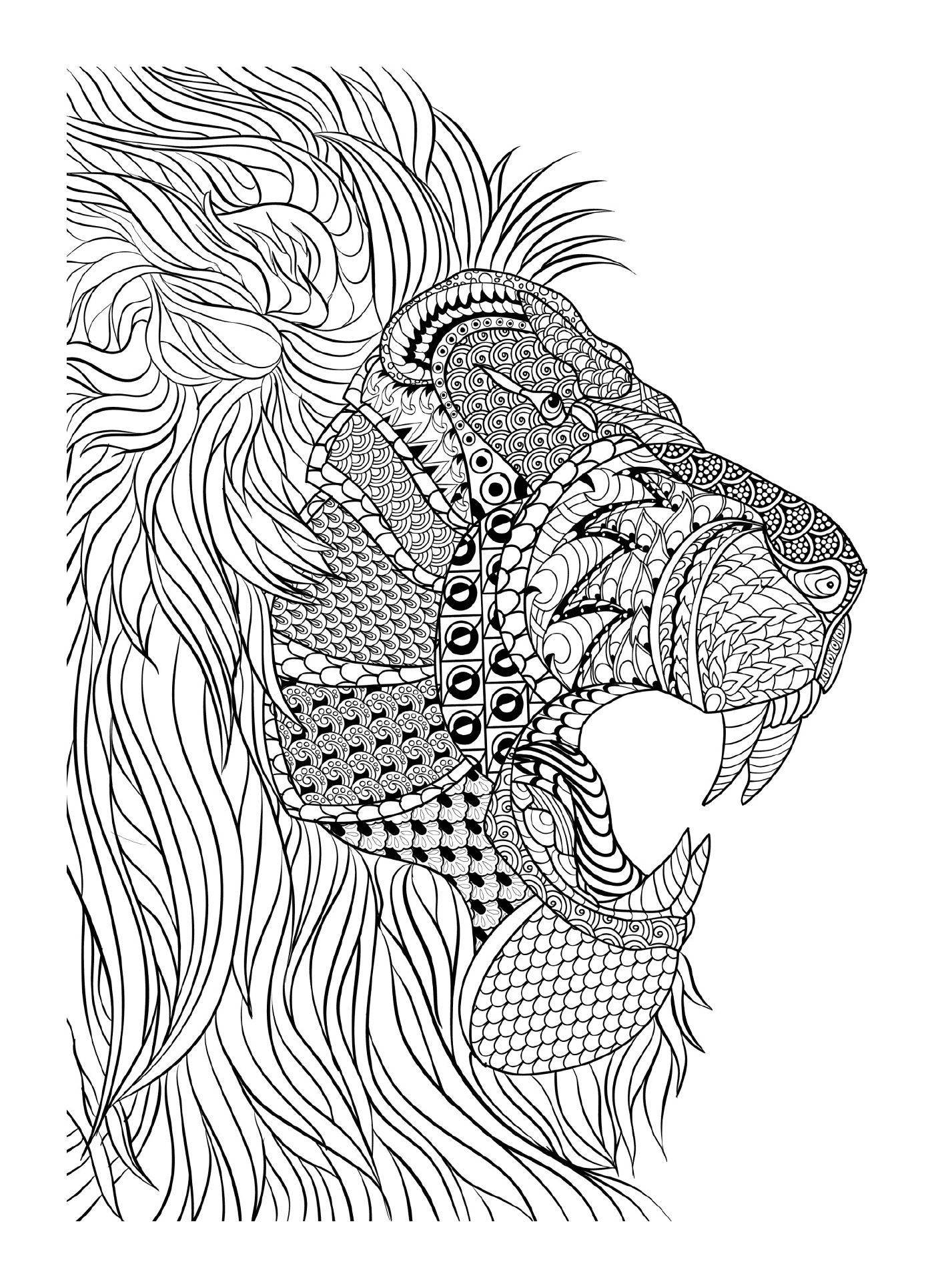  A lion 