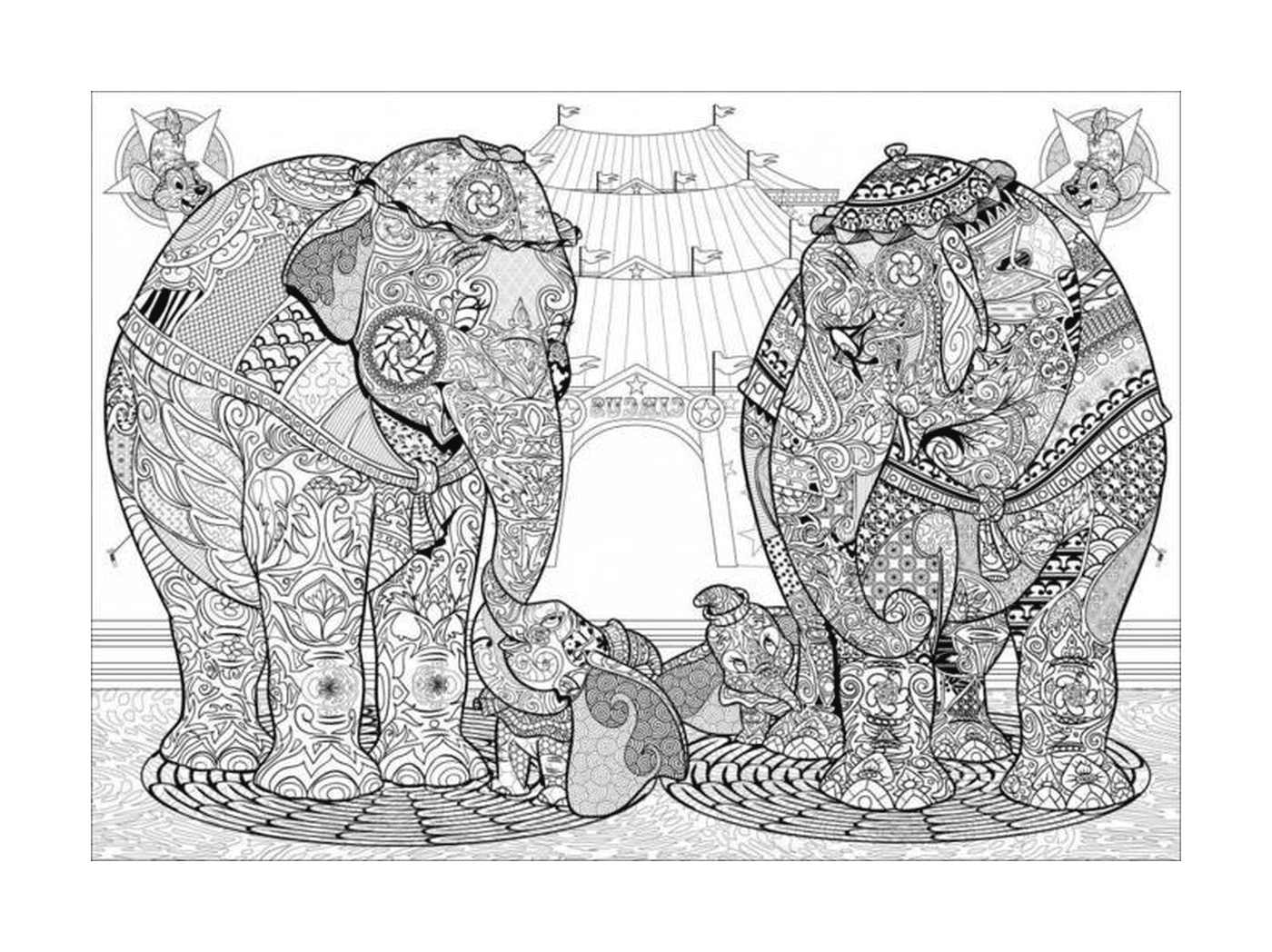  Elefantes de pie lado a lado 