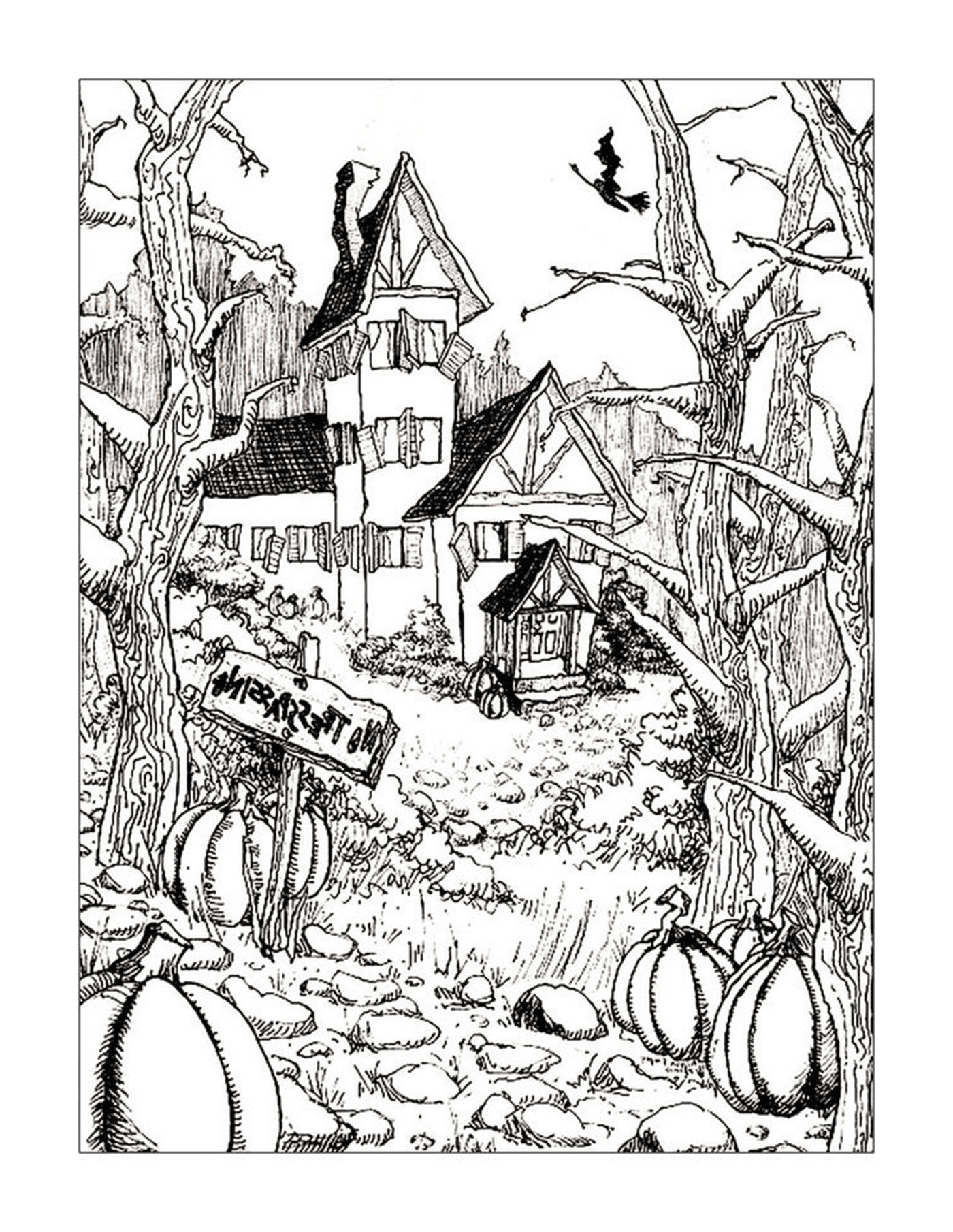  House with pumpkins 