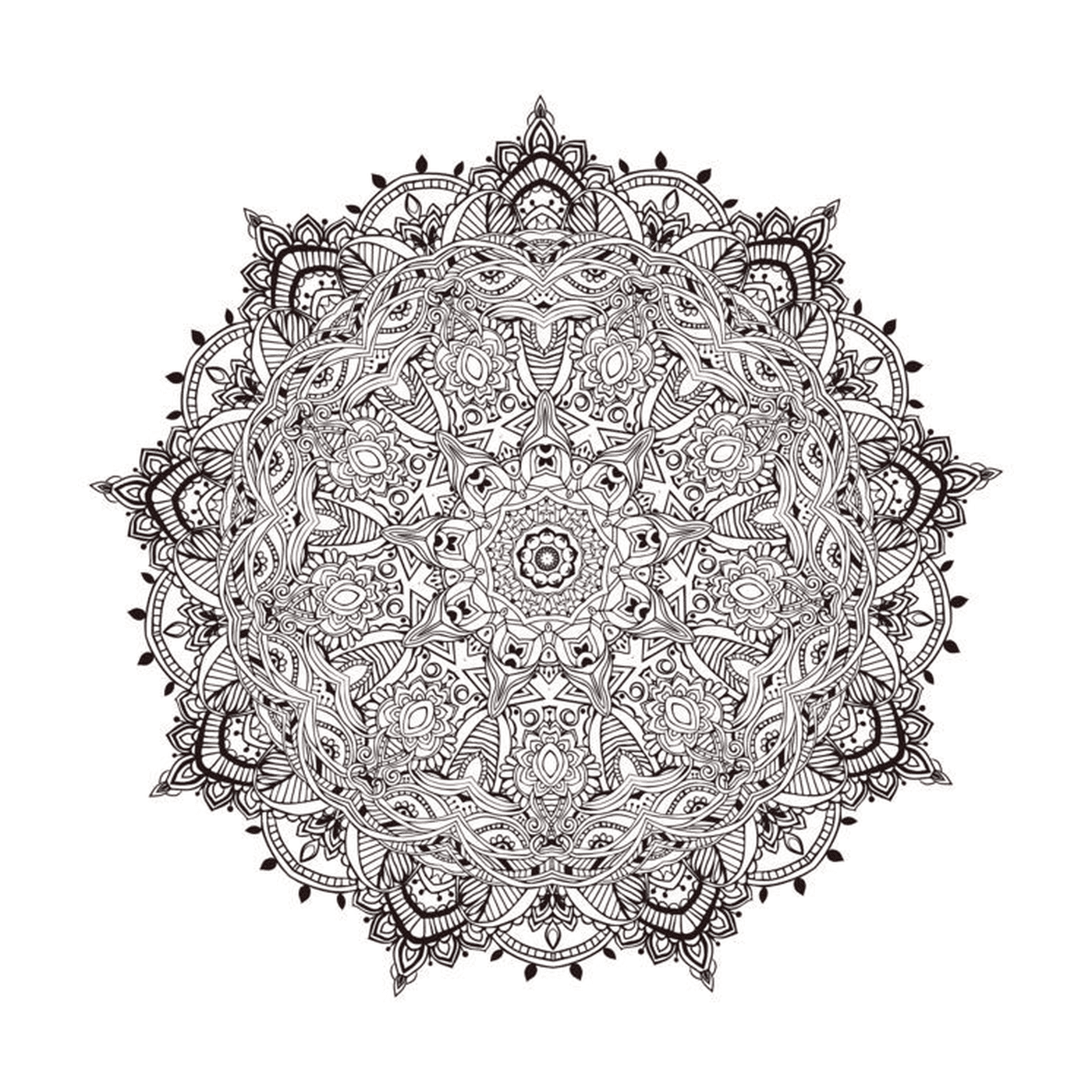  Detailed Mandala with floral motif 