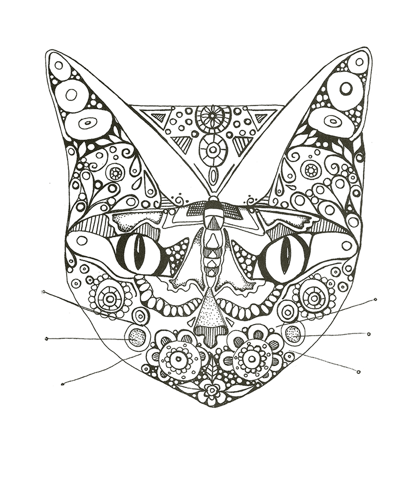  Katze Gesicht in Zeichnung 