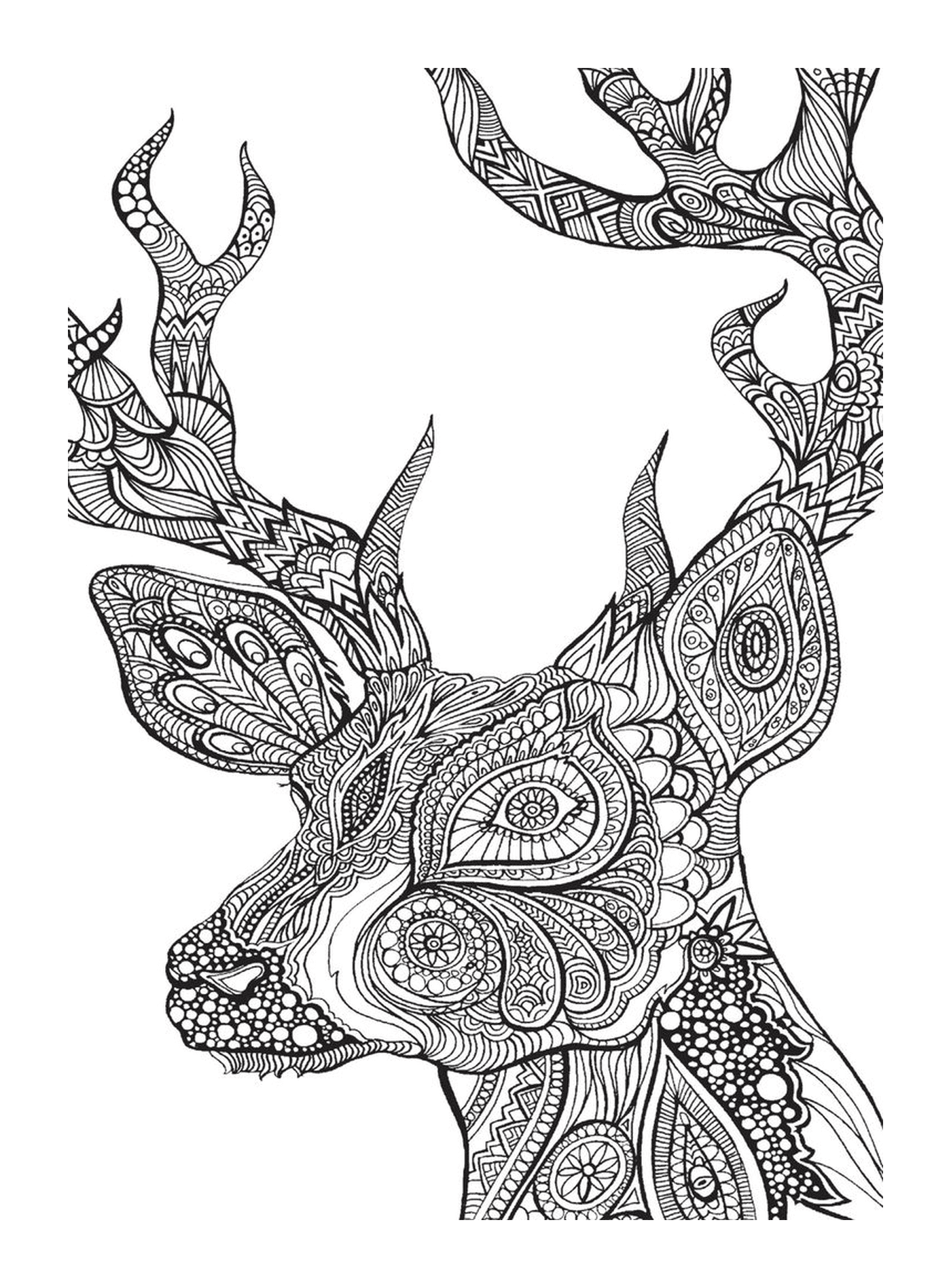  Cabeza de ciervo en el dibujo 