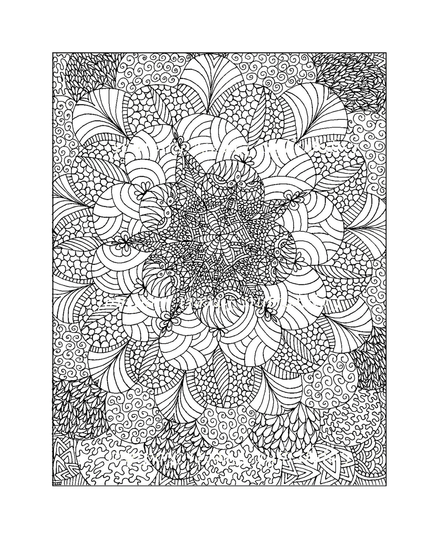  Drawing of complex flowers 