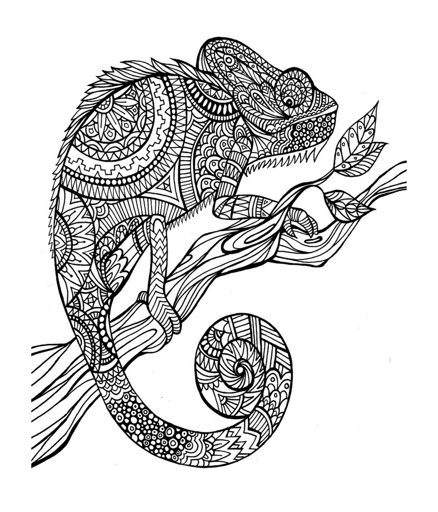  Un camaleonte seduto su un ramo 