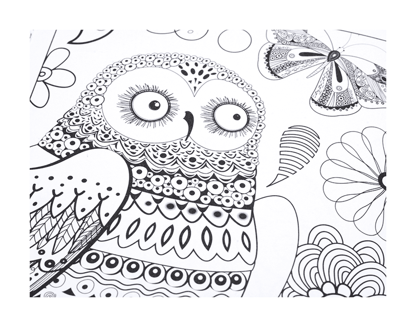  An owl and butterflies on a table 