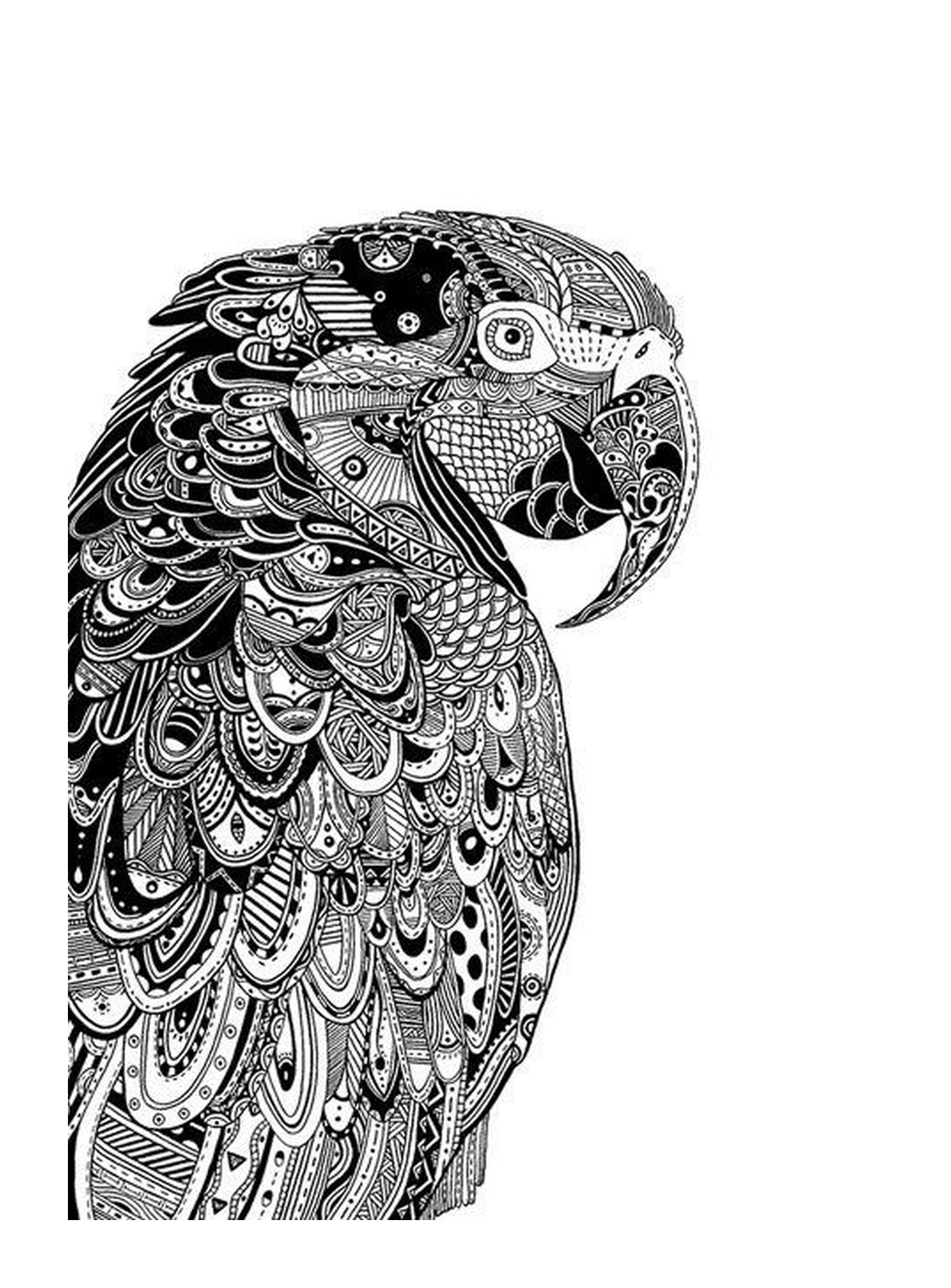  Parrot with complex motifs 