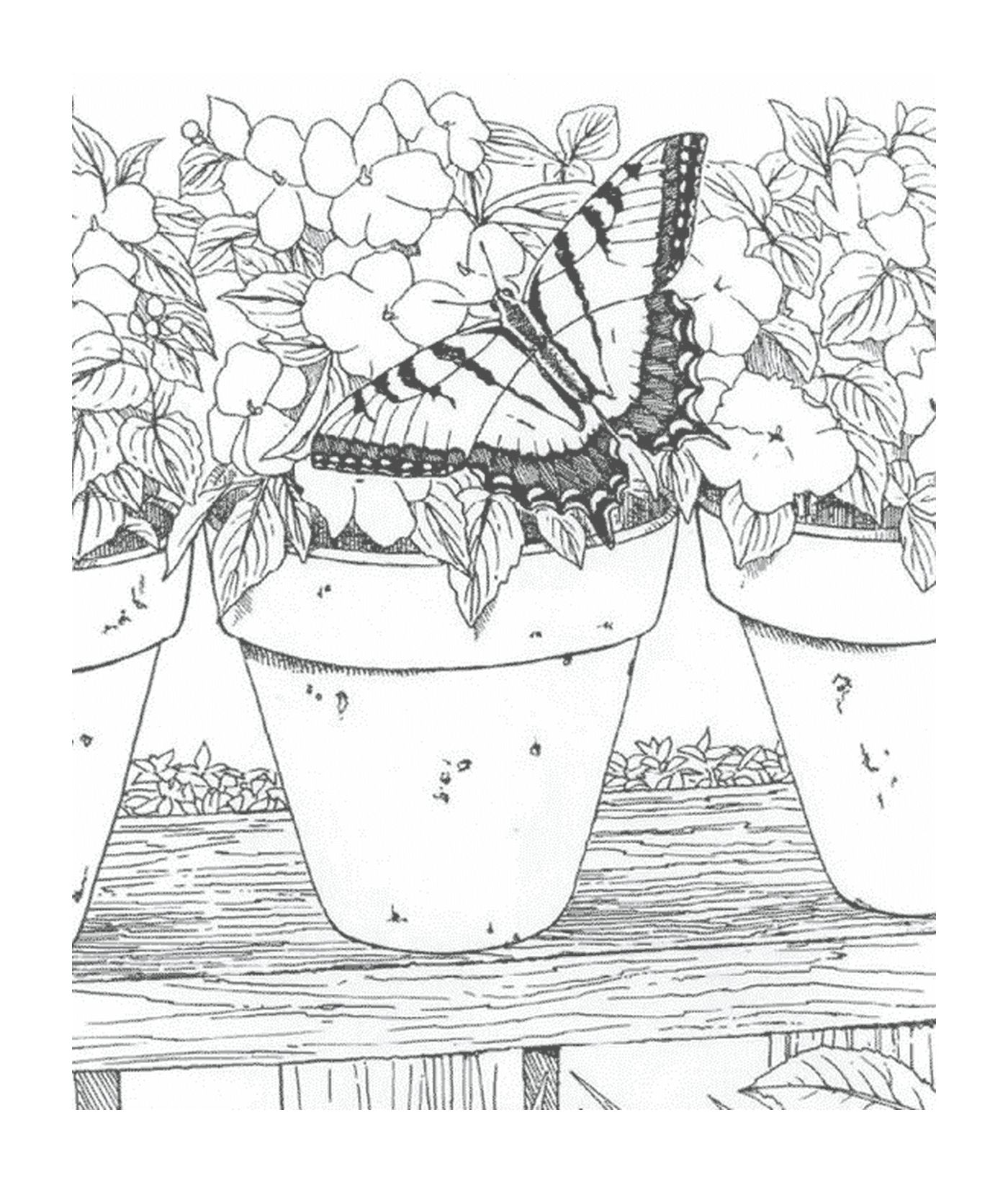  Farfalla posta su un vaso da fiori 