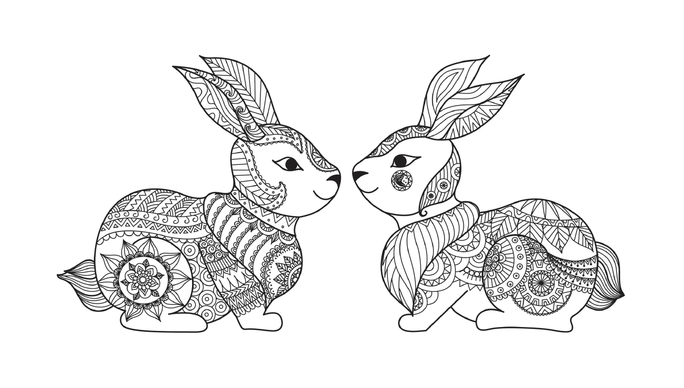 Two rabbits sitting in the grass