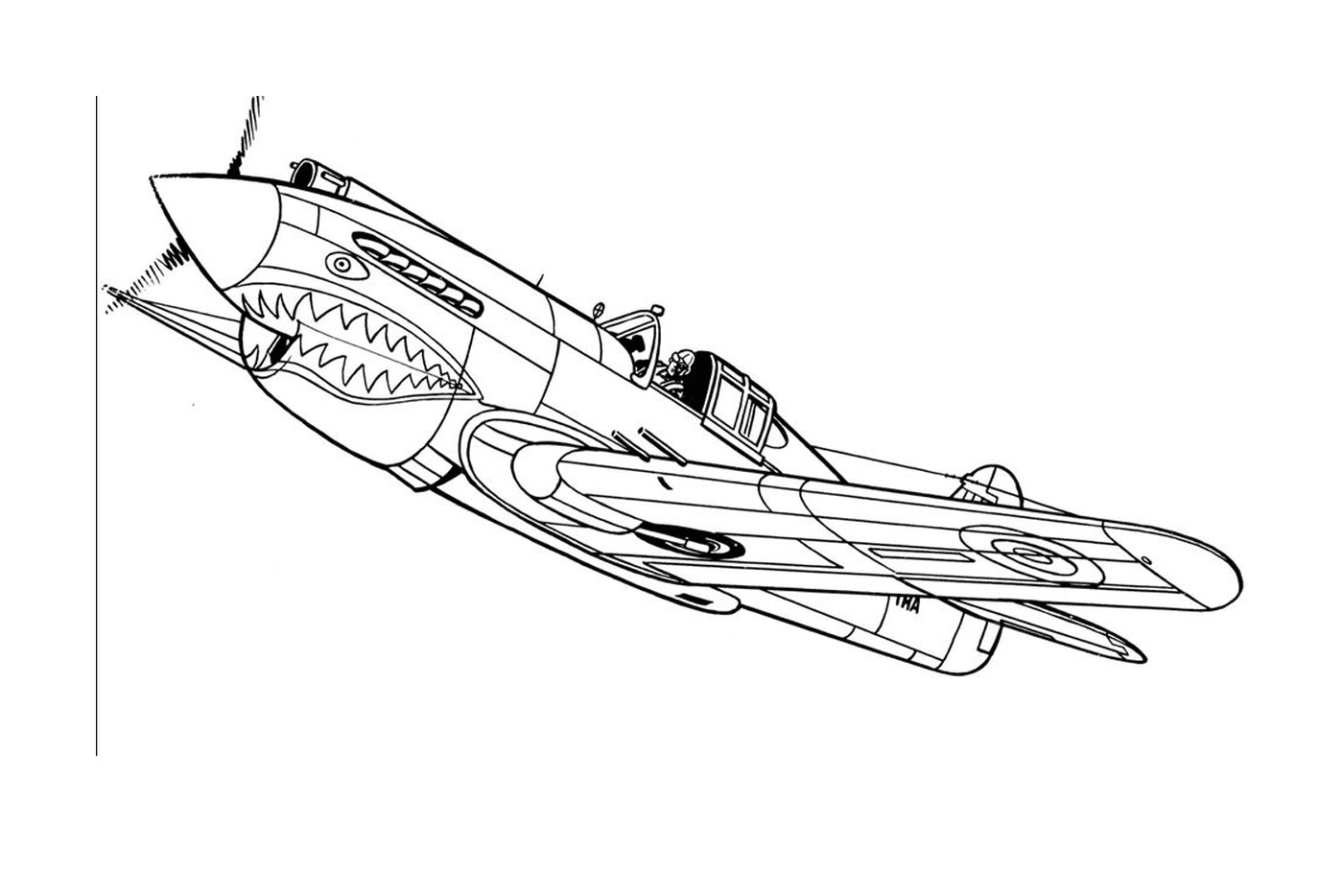  Ein Flugzeug fliegt mit einem Haimund in die Luft 
