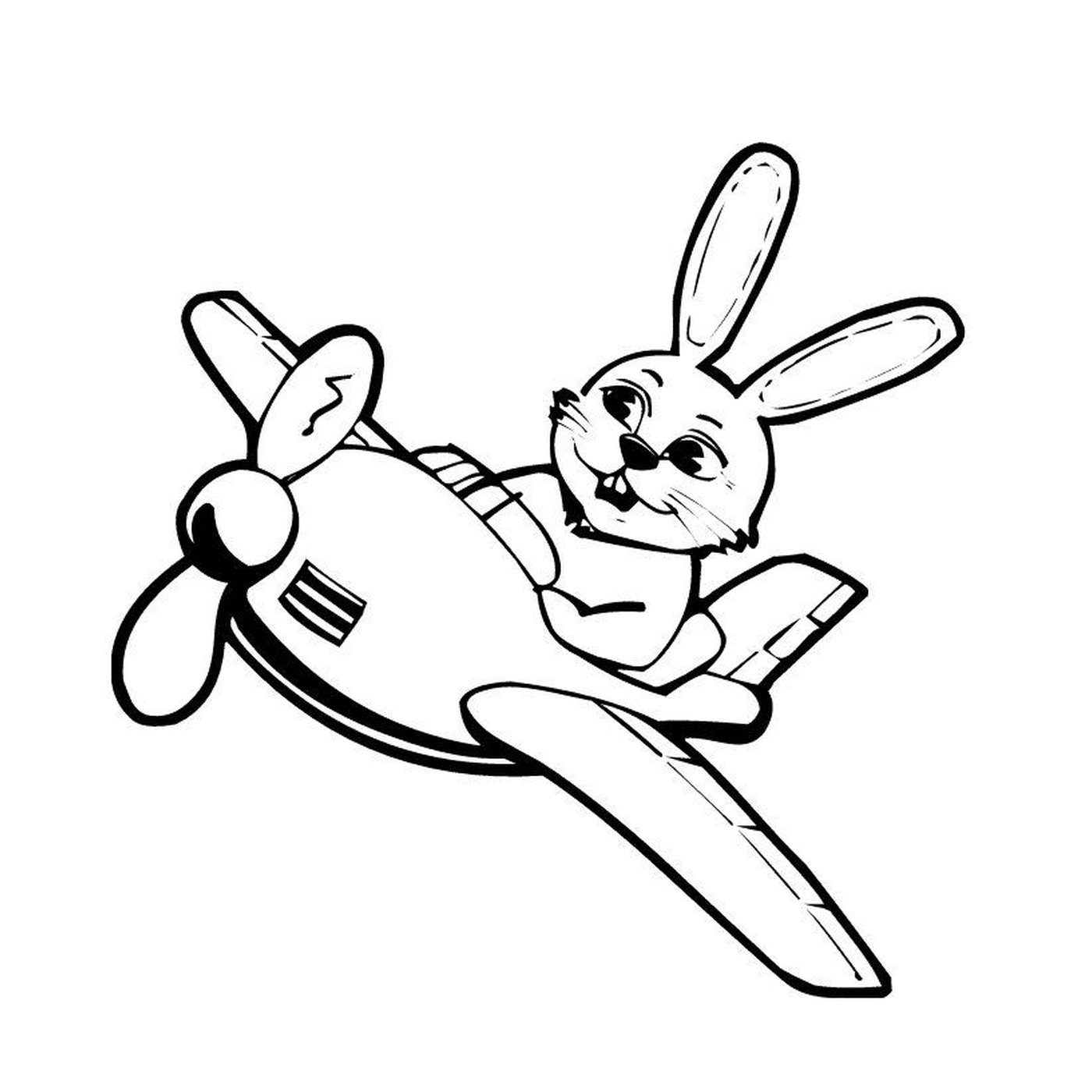  Un aereo con un coniglio sopra 