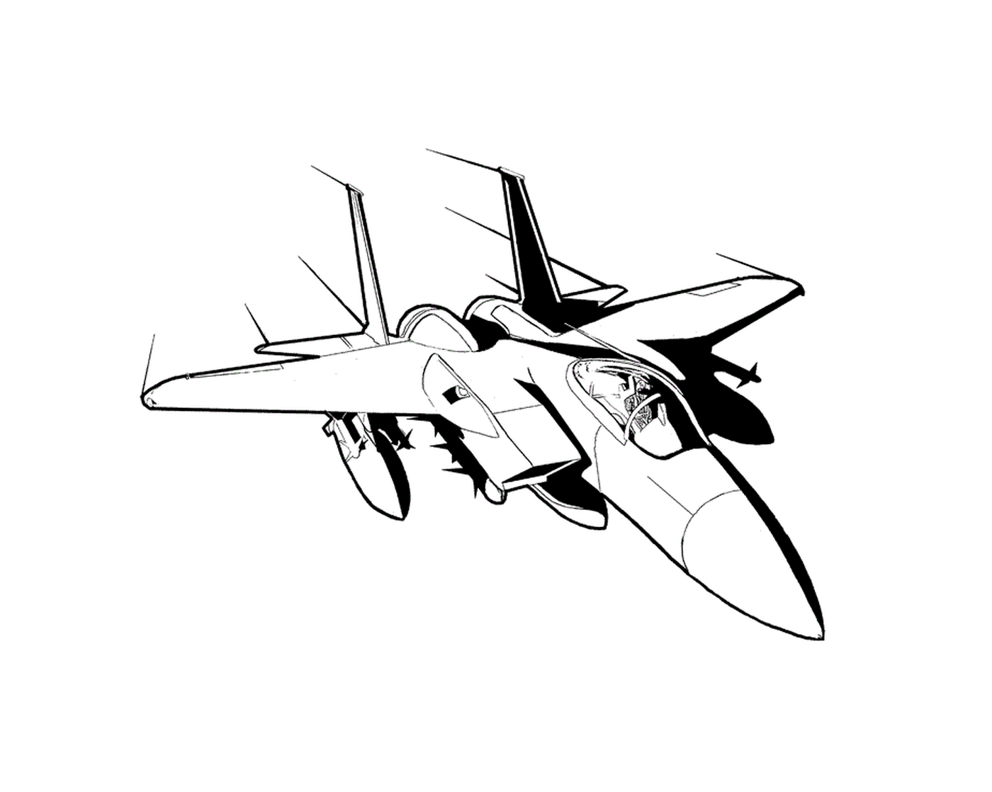  Un avión de combate 